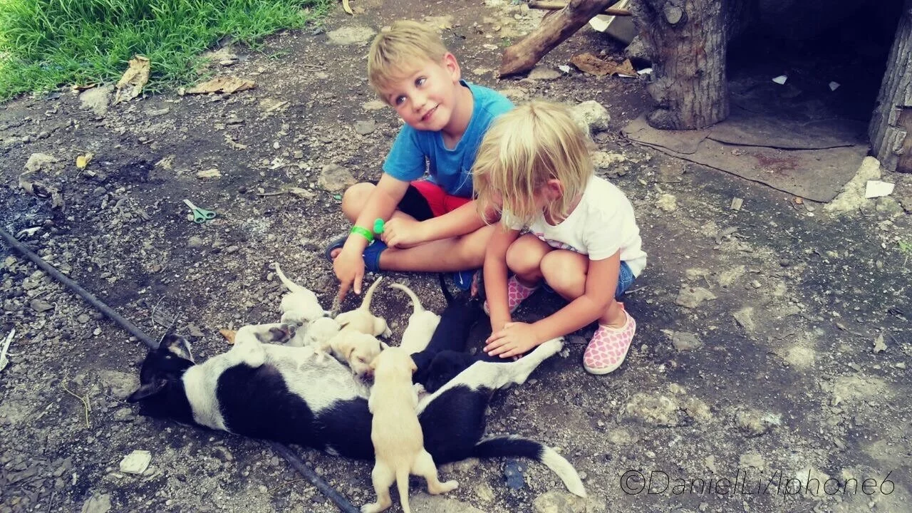 puppies.JPG