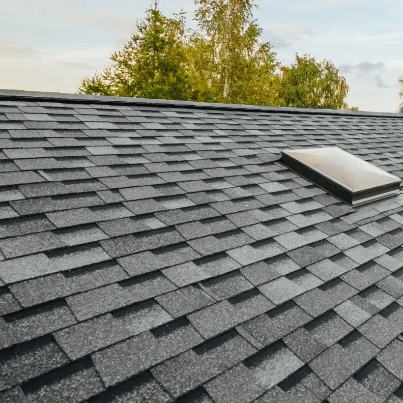 Close-up of a dark gray shingle roof with a skylight and trees in the background.