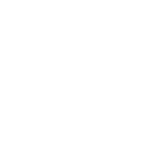 Icon of a document
