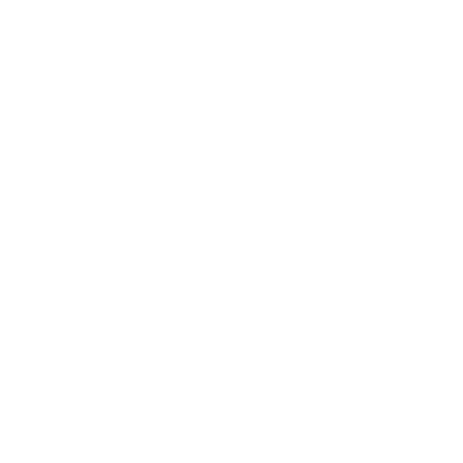 White house icon