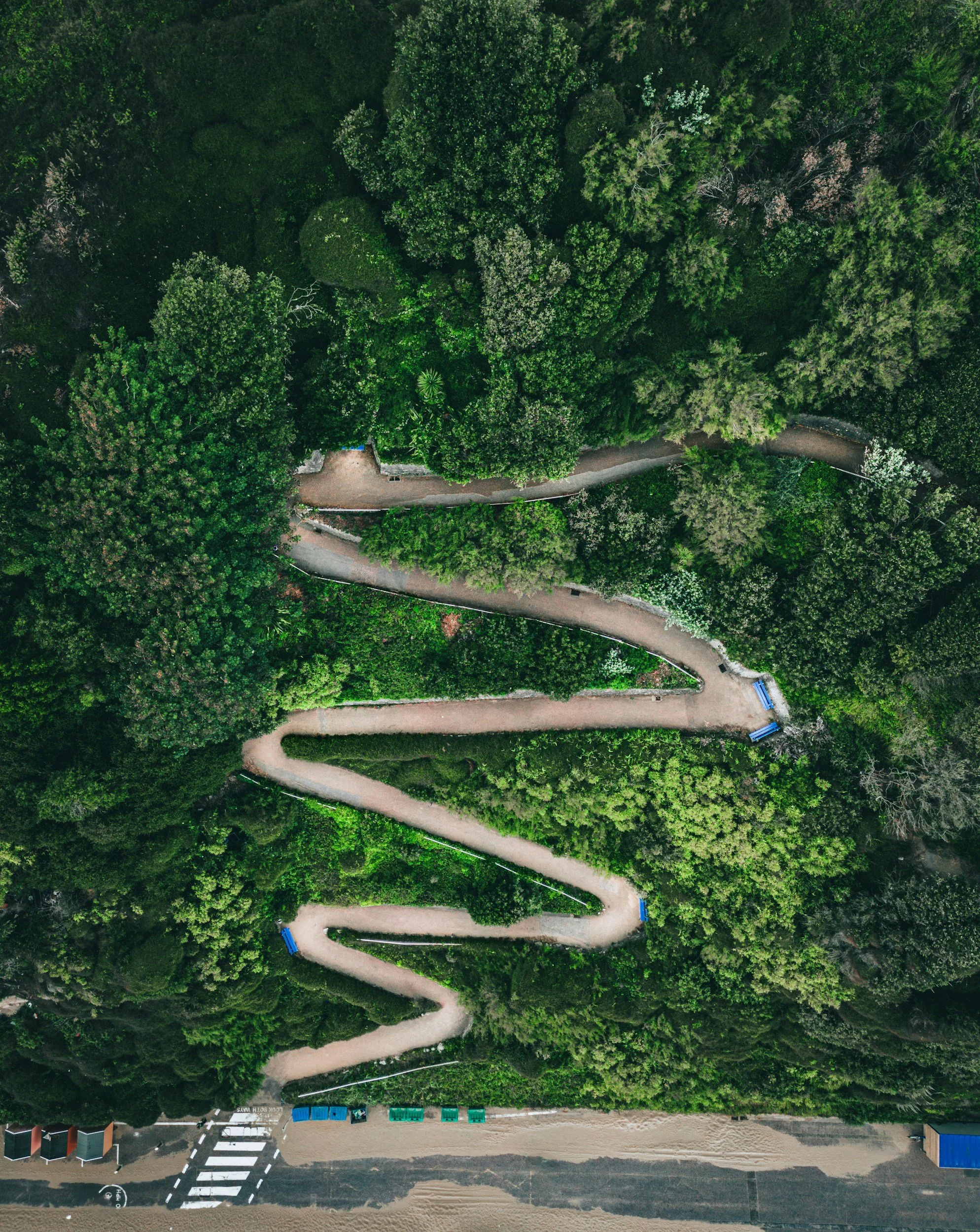 An aerial view of a winding walking path through a dense green forest with benches along the path and a sandy ground area at the bottom of the image.