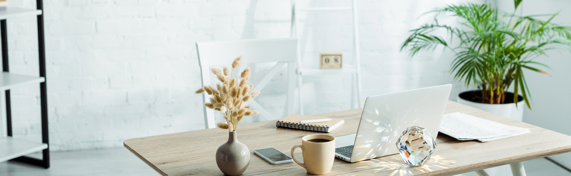 A minimalist home office desk with a laptop, a coffee mug, a smartphone, a notebook, a pen, a vase with dried flowers, a decorative glass sphere, and a large potted plant in the background.