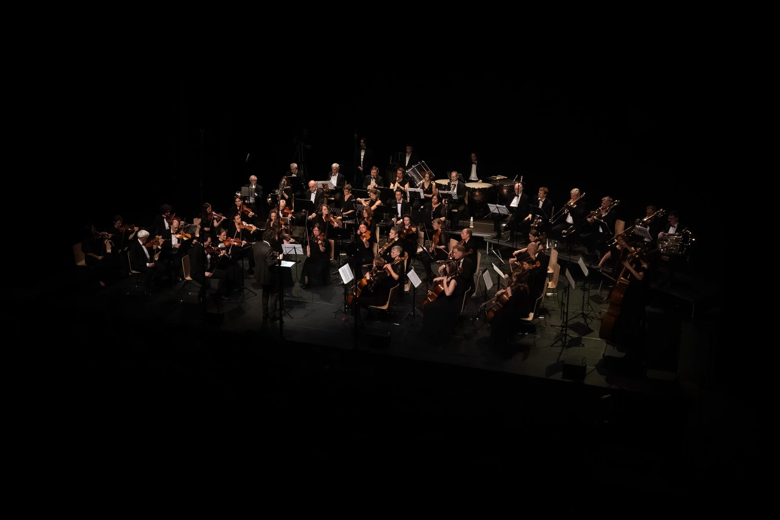 Sonores Themabeeld-28.jpg