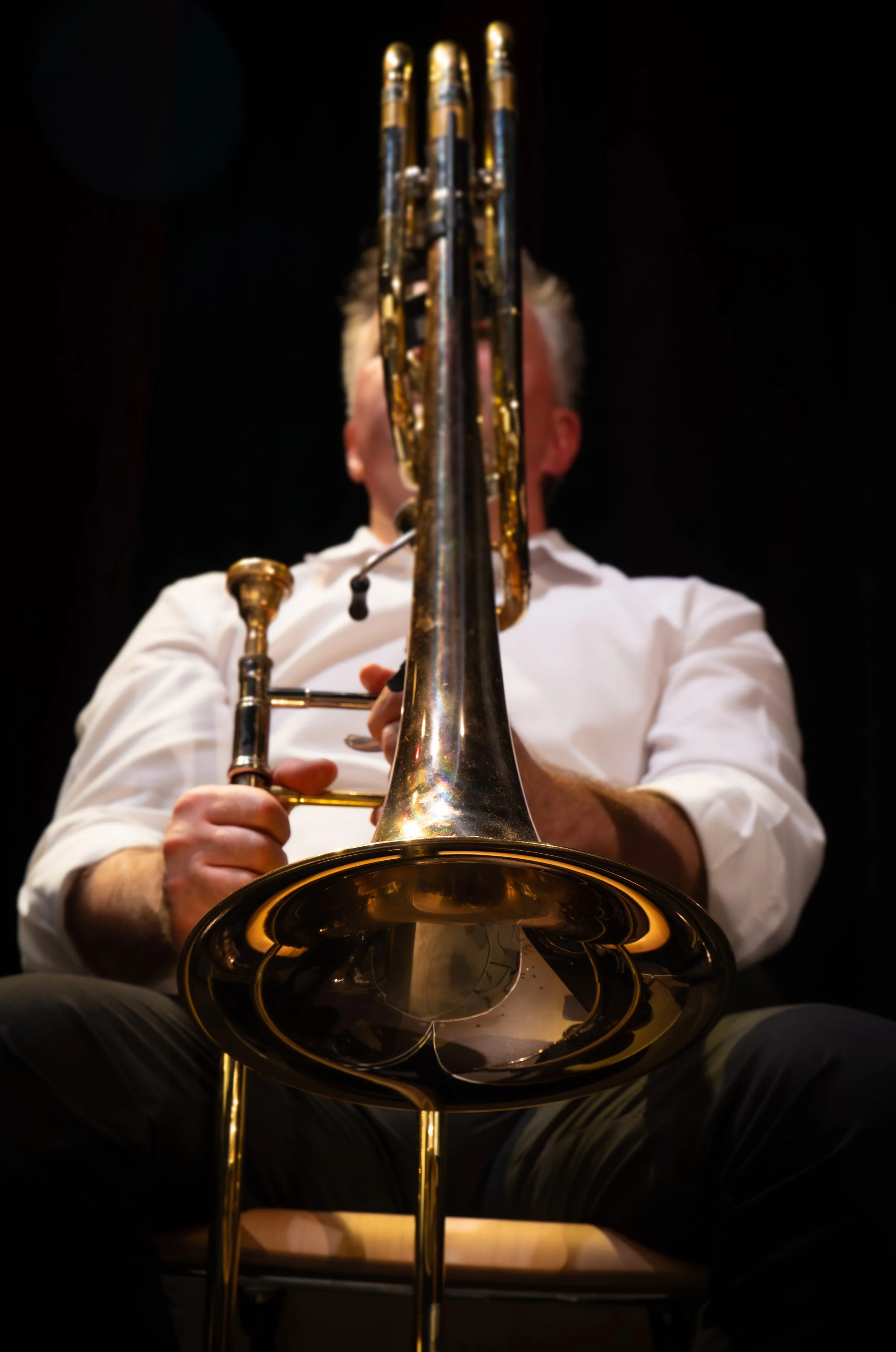 Sonores Themabeeld-25.jpg
