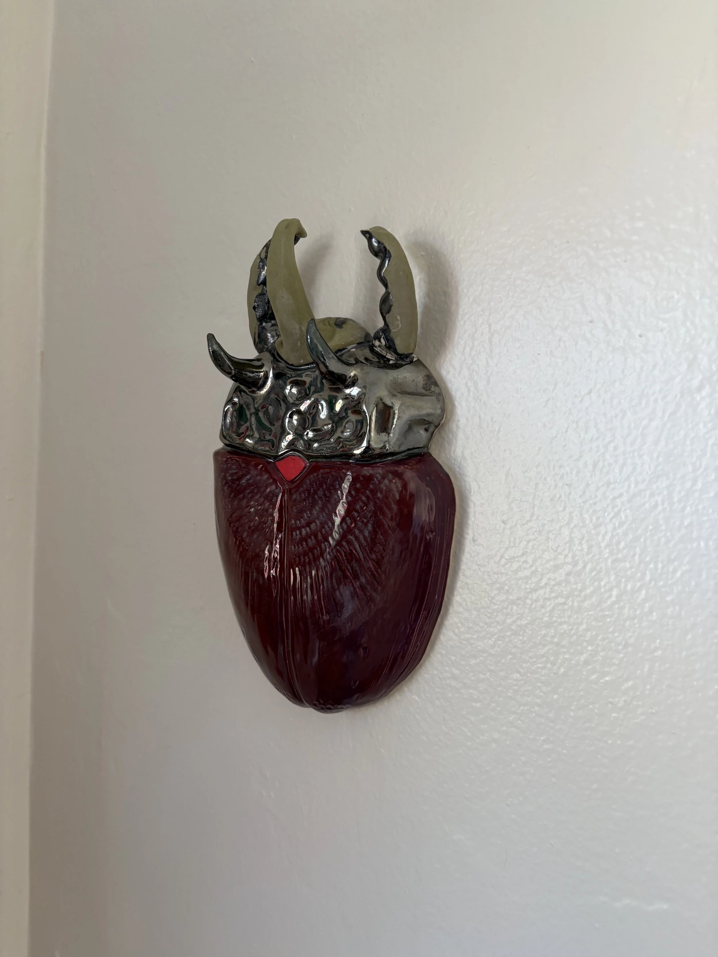 IMG_0293.jpeg
