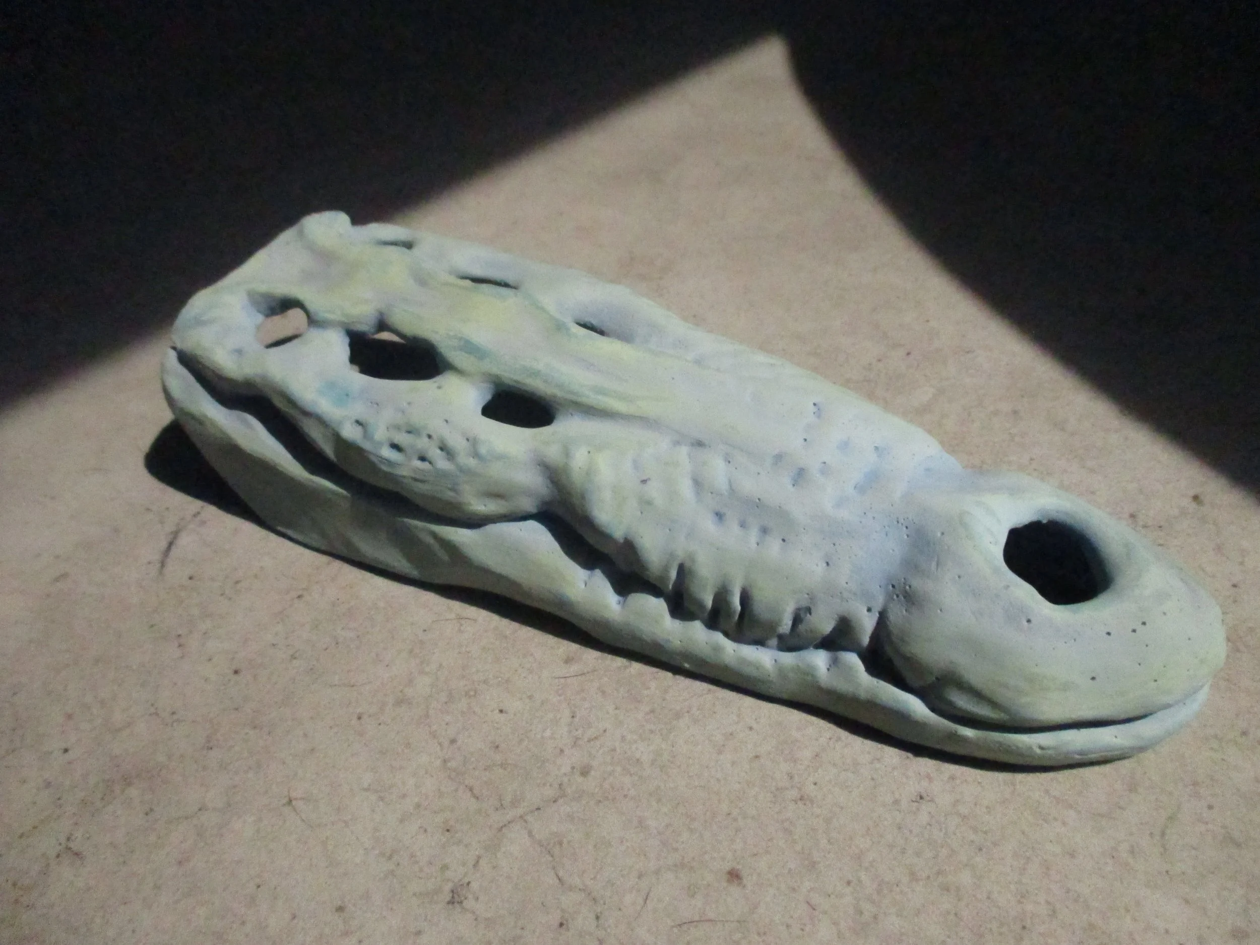 Turkey point Croc