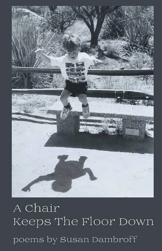 Cover of a book titled 'A Chair Keeps The Floor Down' by Susan Dambroff, featuring a black and white photo of a child jumping and casting a shadow on the ground.
