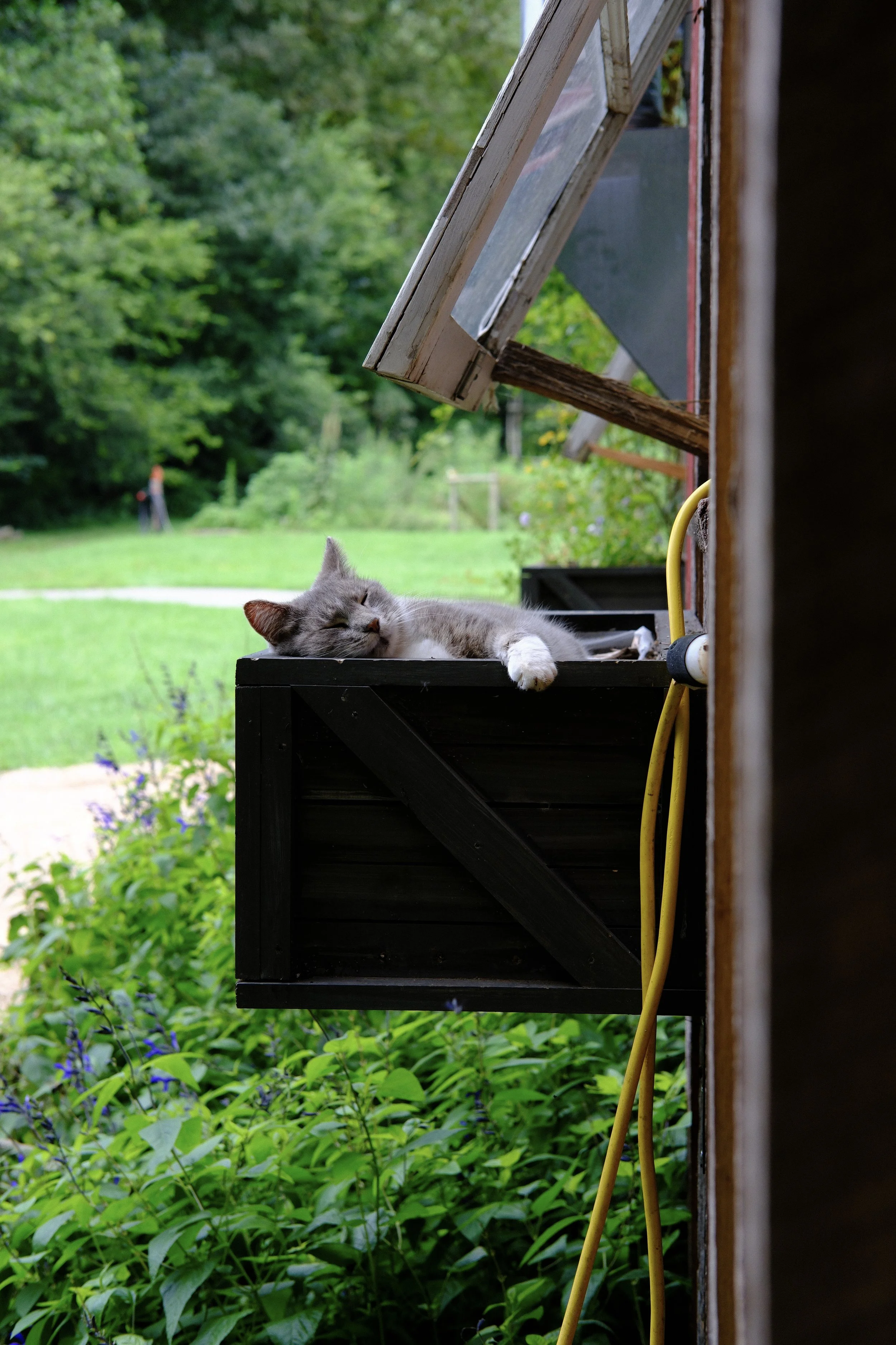 DSCF2779.jpg