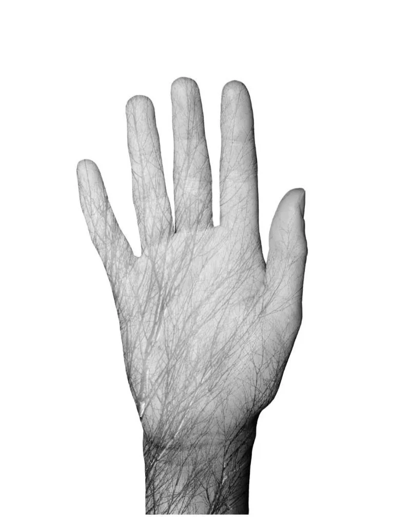 A black-and-white illustration of a human hand with visible inner lines and details.