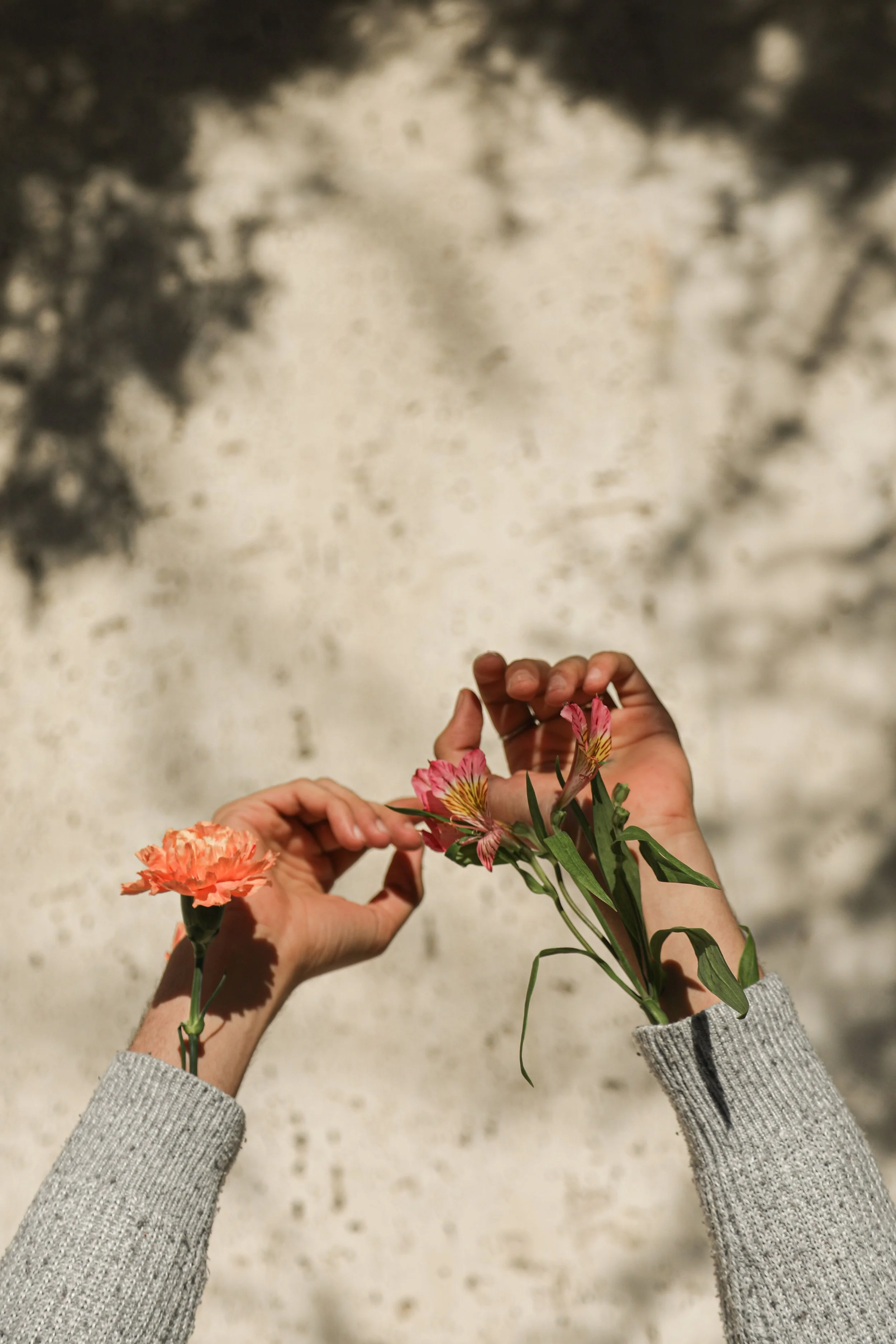 Person wearing a gray sweater holding pink and orange flowers against a textured beige background.
