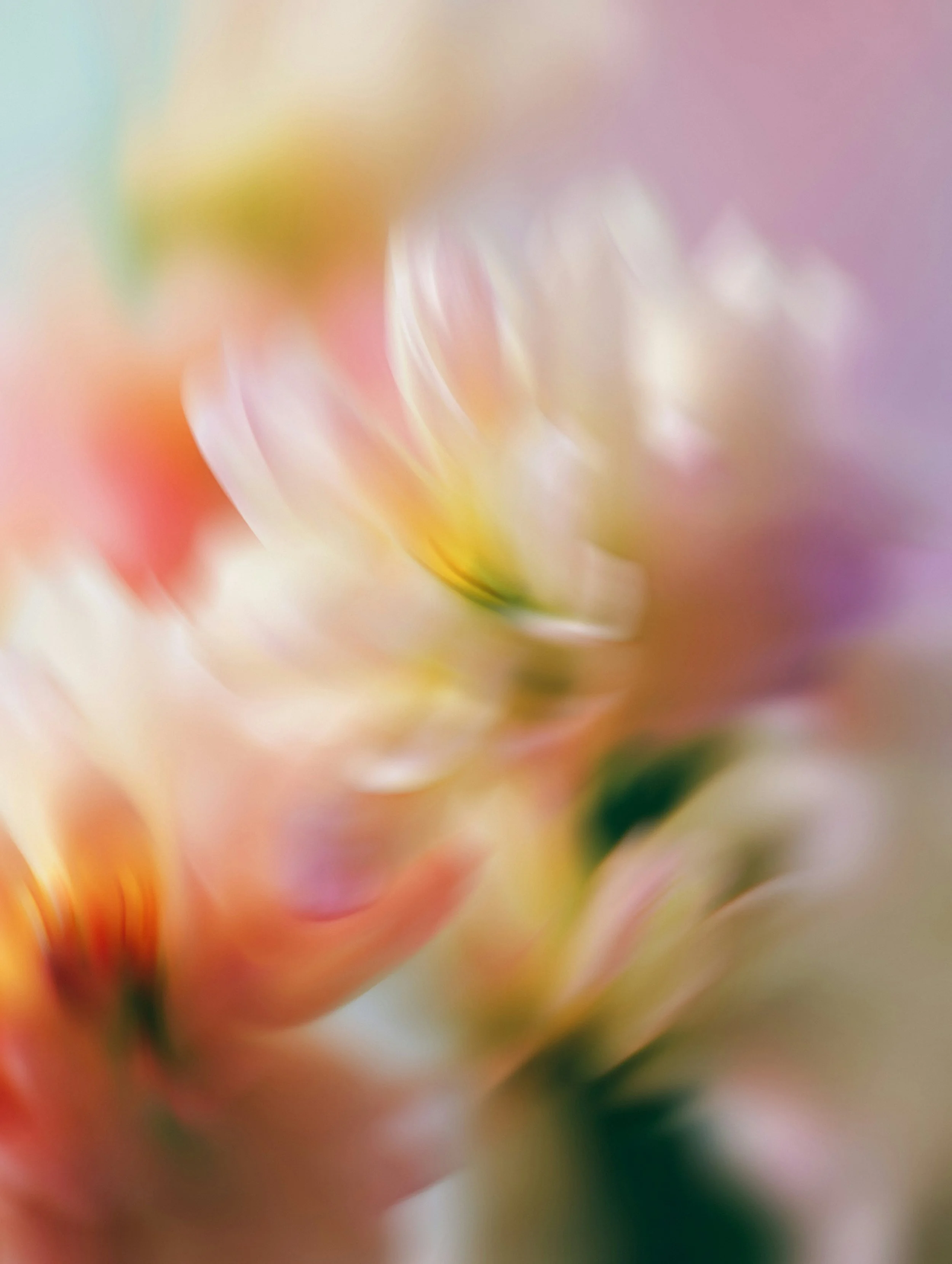 Blurred, colorful abstract background with soft pastel shades of pink, purple, orange, and yellow.
