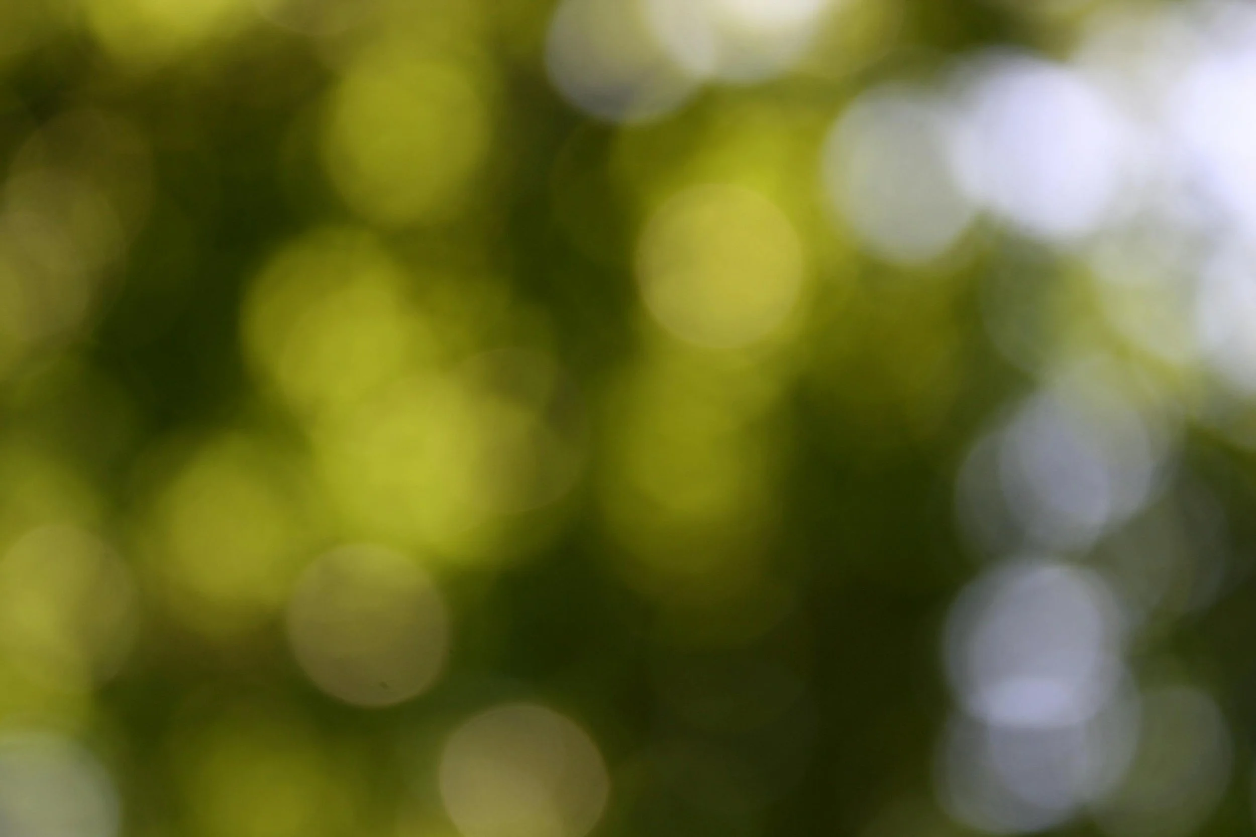 Blurred green and white circular bokeh light patterns.