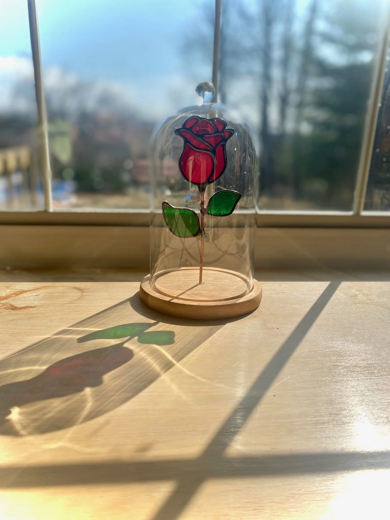 Kissed by a Rose