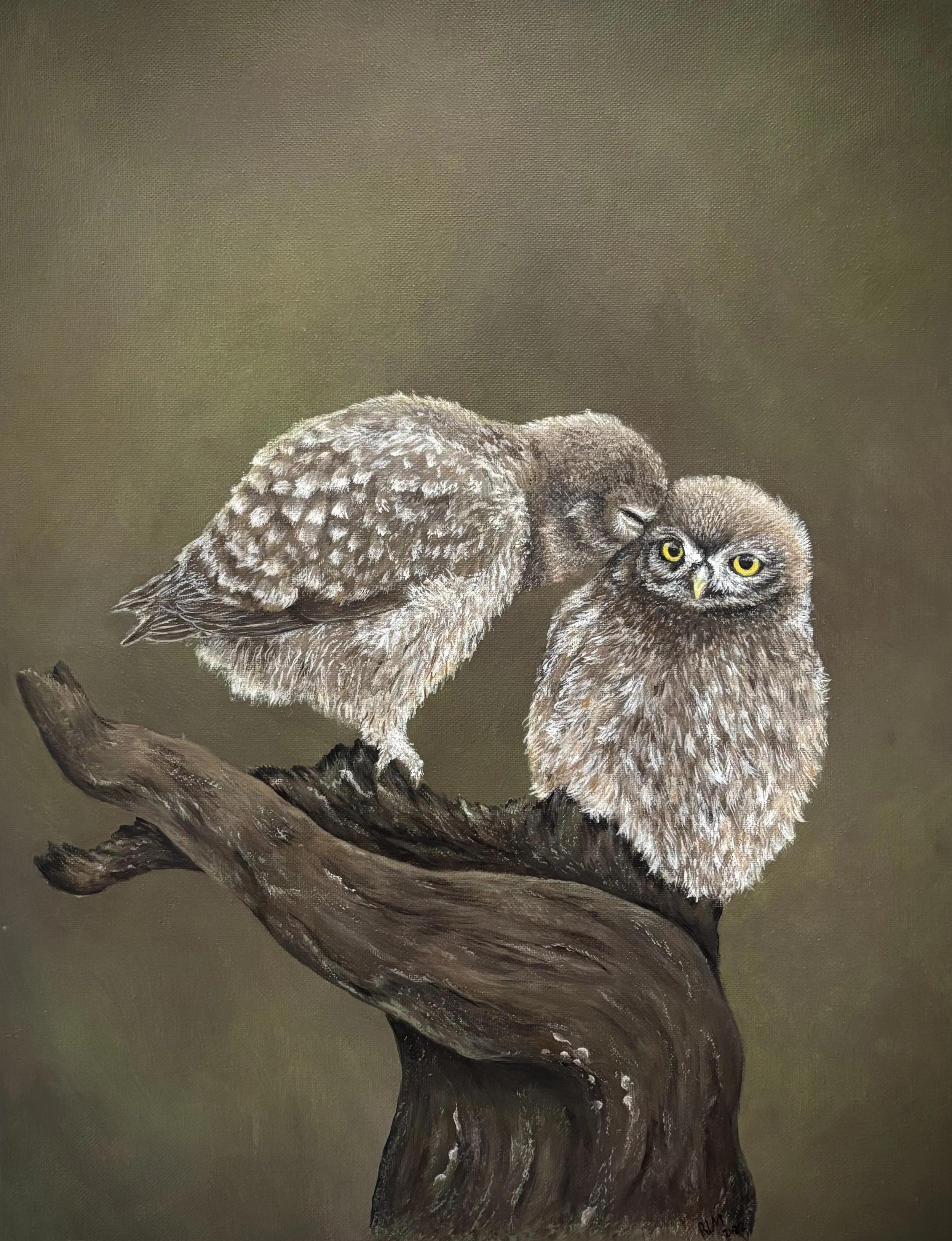 Feathered friends