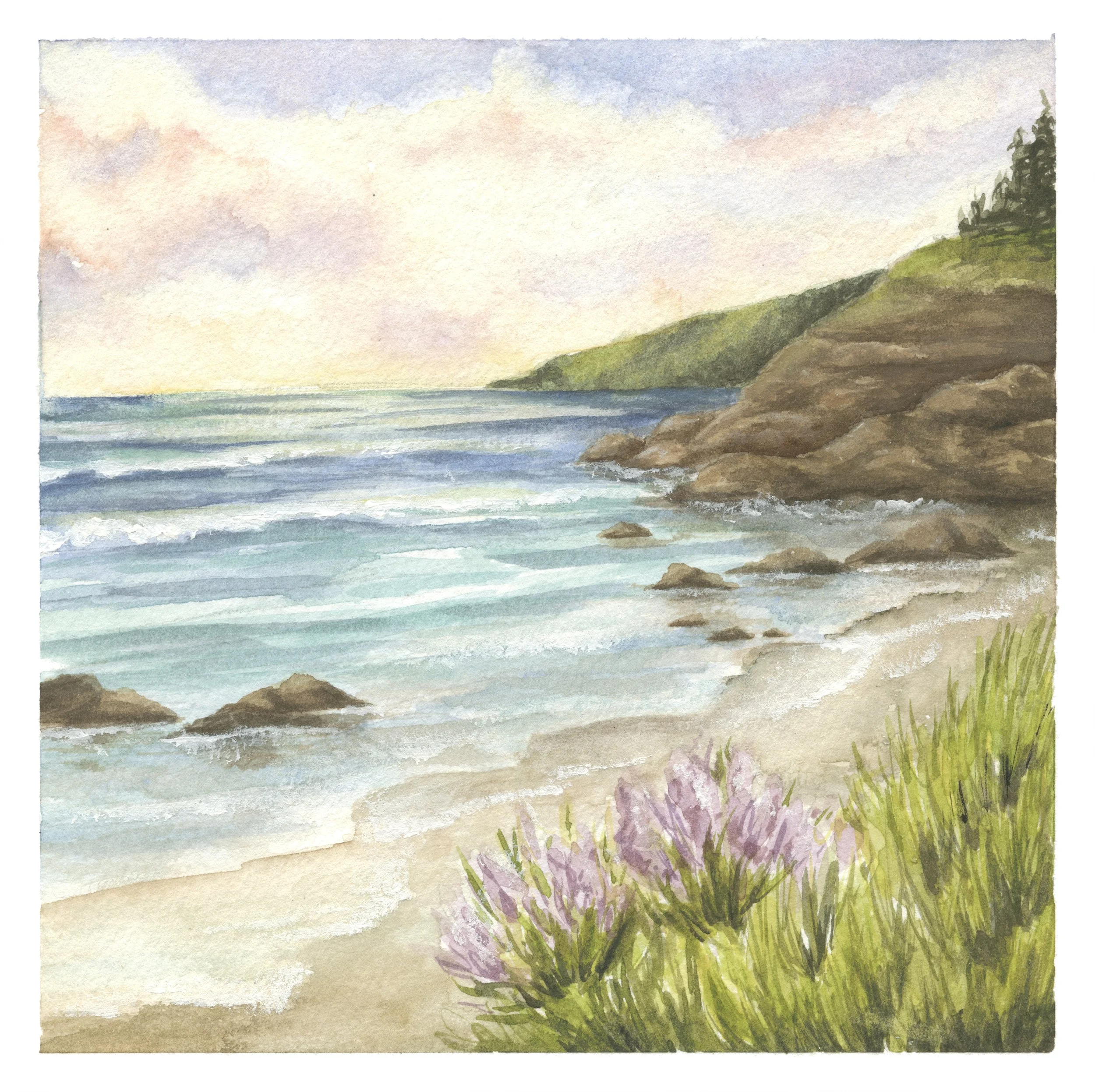 Floral Coast.jpg