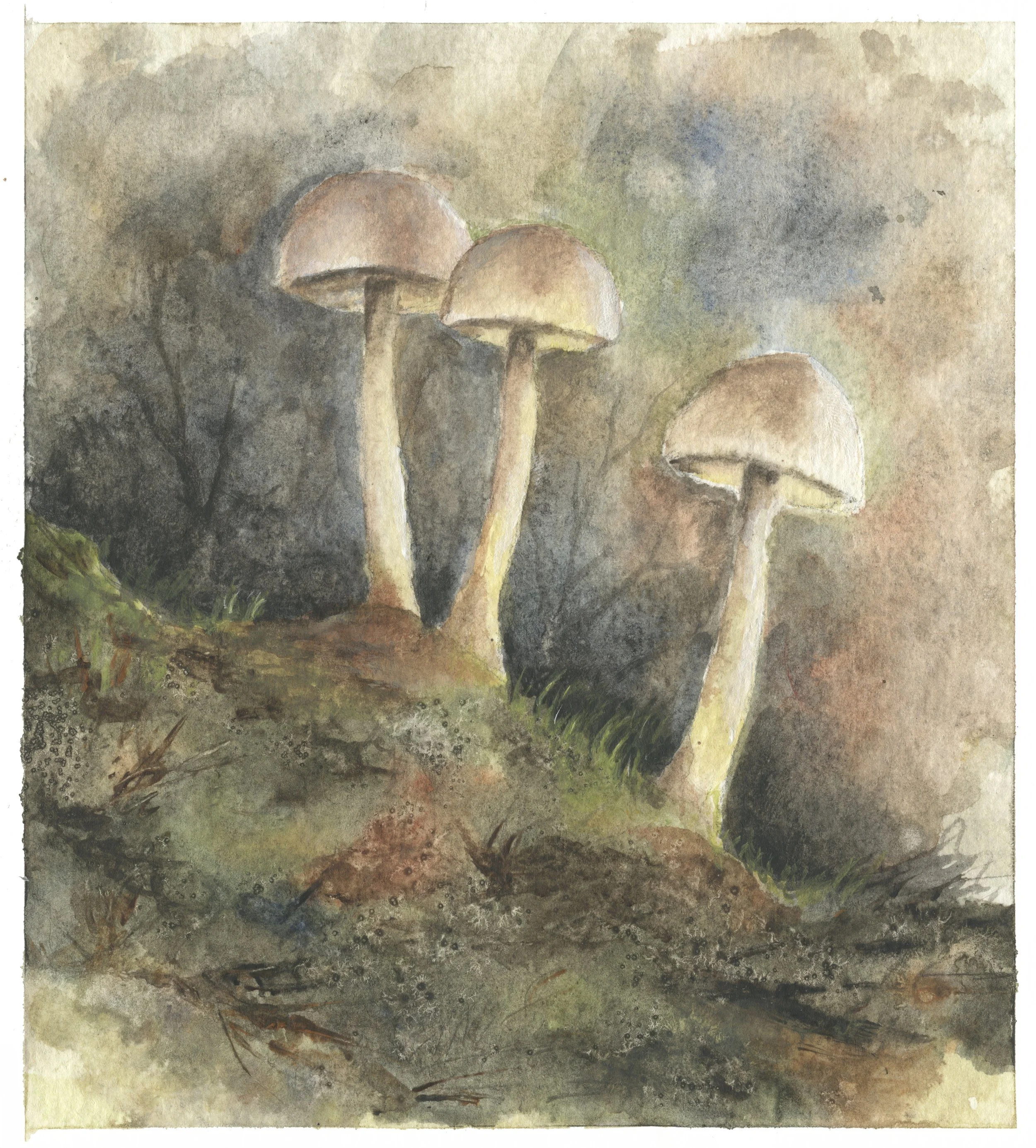 Woodland Findings.jpg