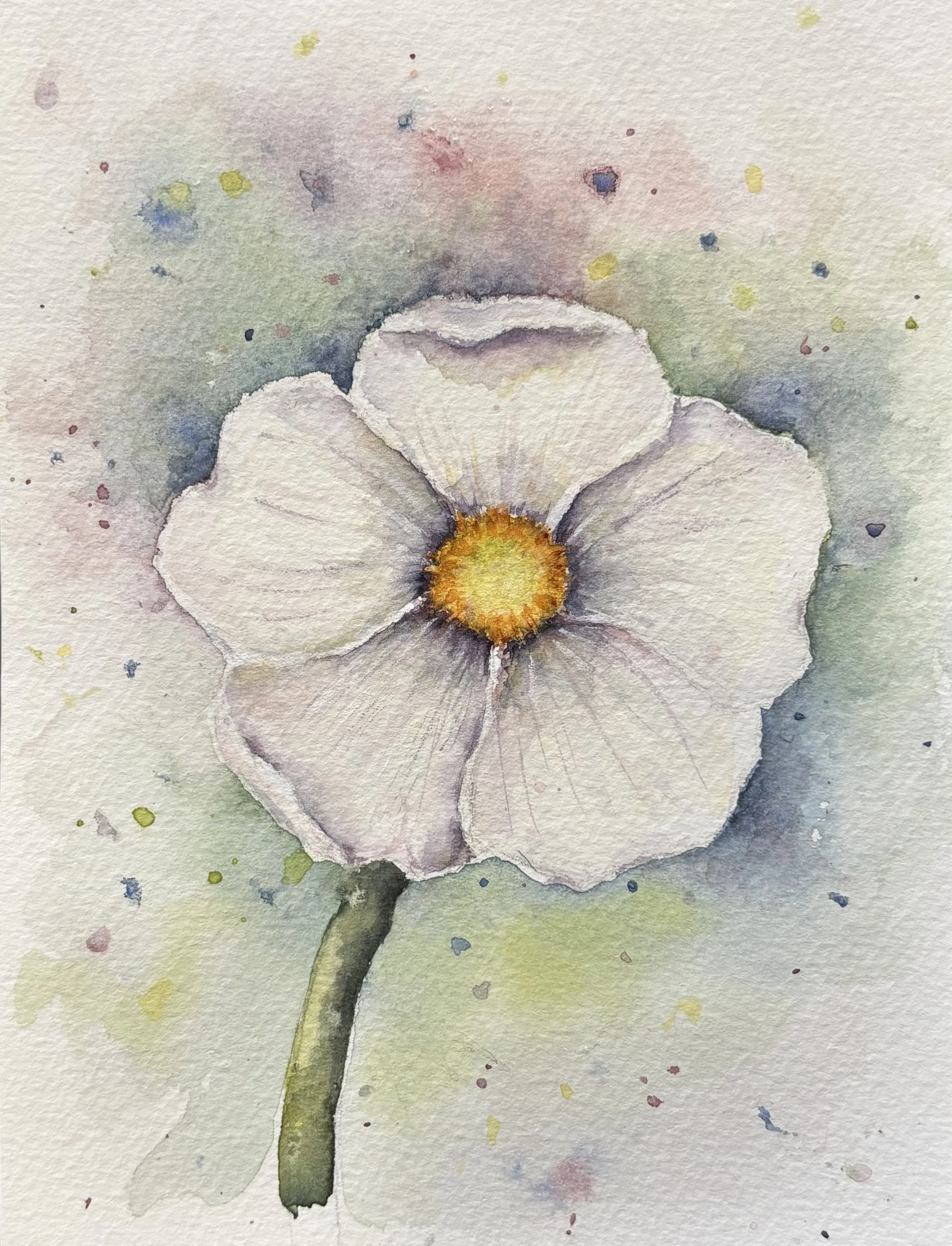 Watercolor Anemone