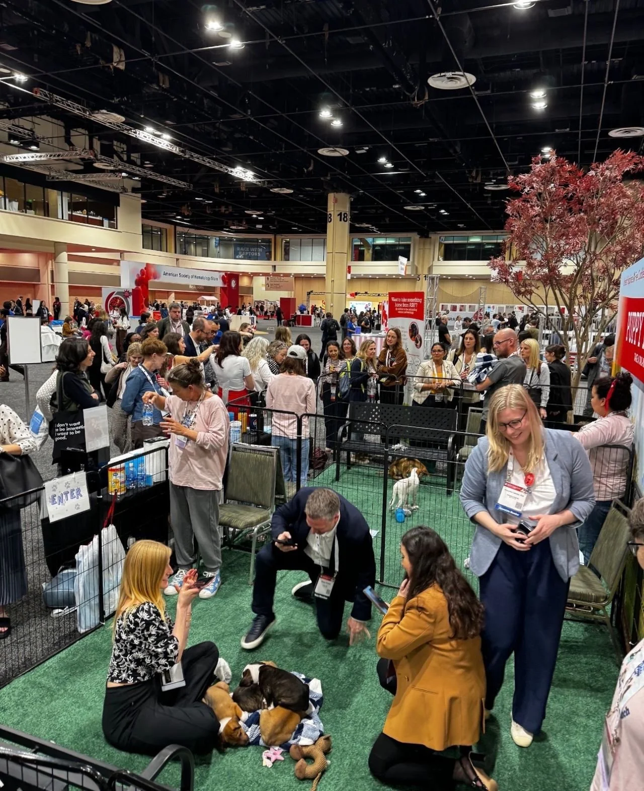 A busy indoor event with many people gathered around a small dog enclosure. Some individuals are taking pictures, and a few puppies are lying on the floor inside the enclosure. The background shows booths and banners, including one that reads 'American Society of Hematology.' The atmosphere is lively, with a mix of standing and seated attendees.