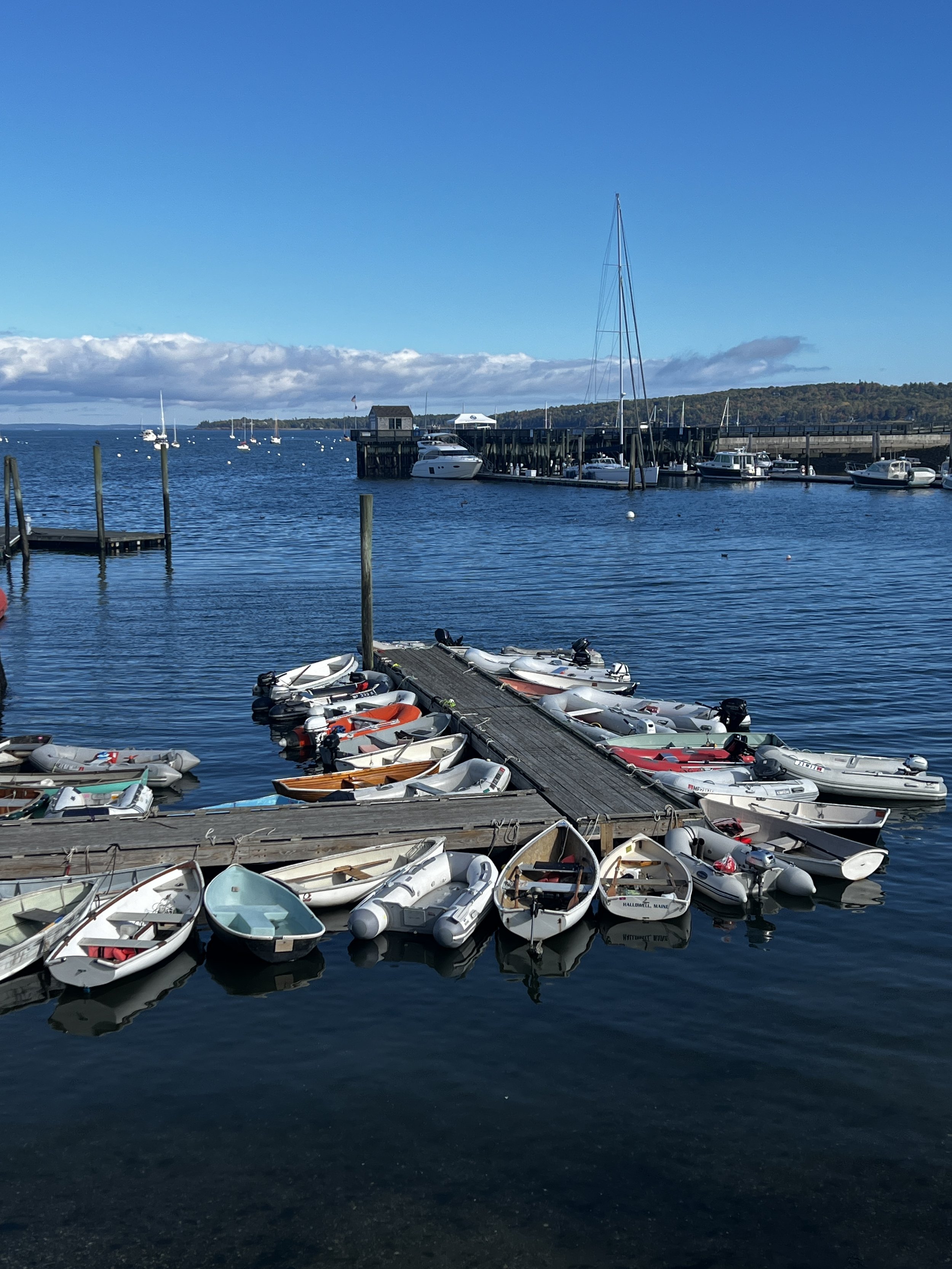 A marina with boats docked at wooden piers, calm water, some boats on the water, and a backdrop of a distant forested hill and blue sky.