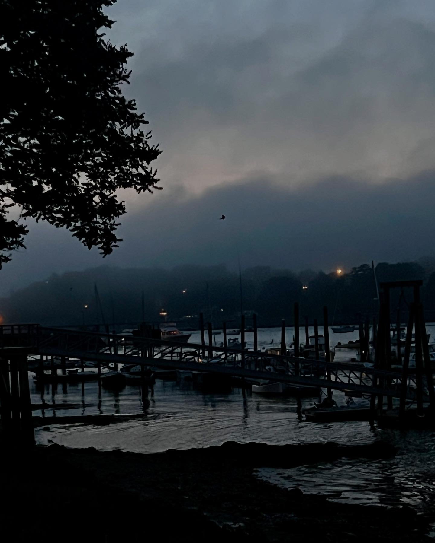 A dark, cloudy evening at a marina with boats docked, a tree partially visible on the left, and a hilly landscape in the background with a few lights, including a bright one on the right.