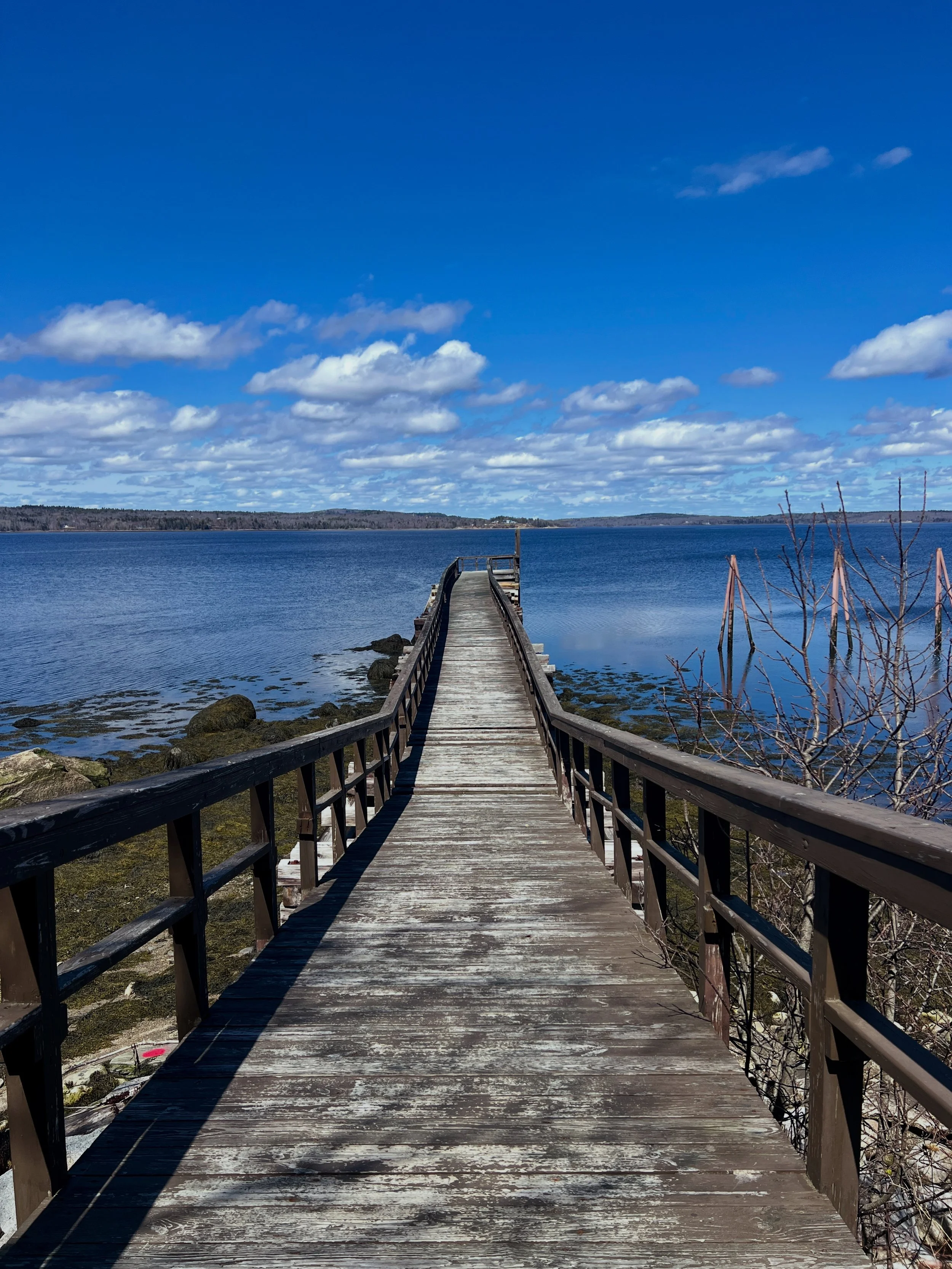 Wooden pier extending over a calm body of water, with a clear blue sky and scattered clouds above. Bare branches on the right side.