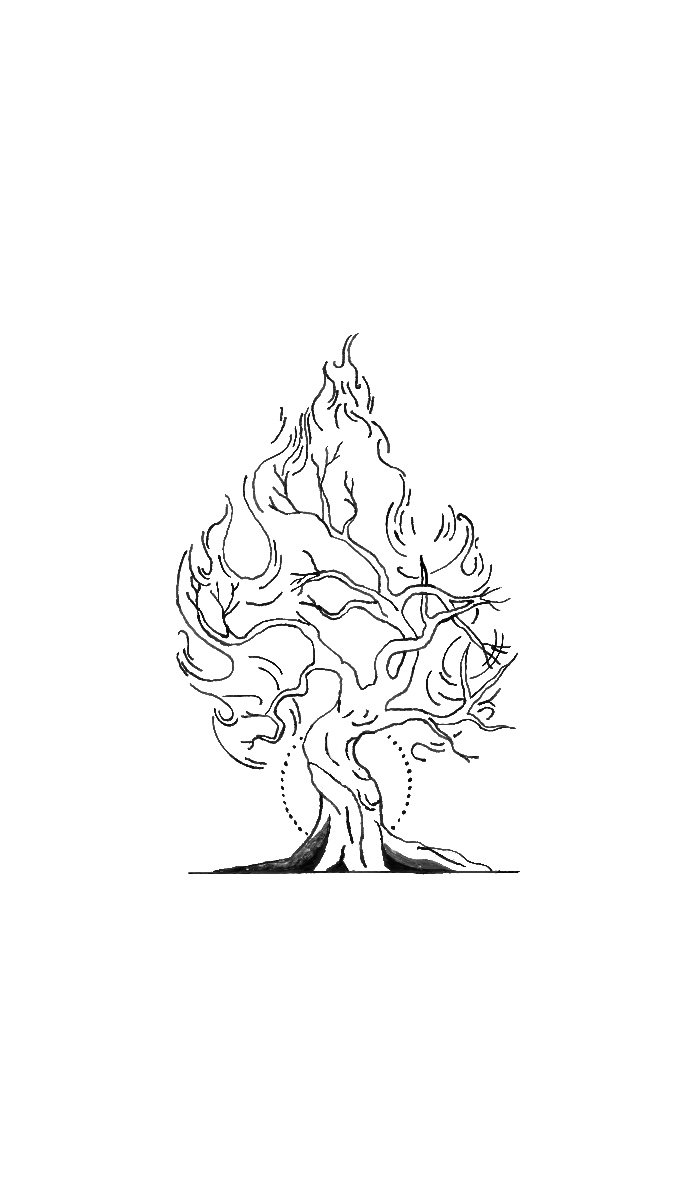 Burning bush