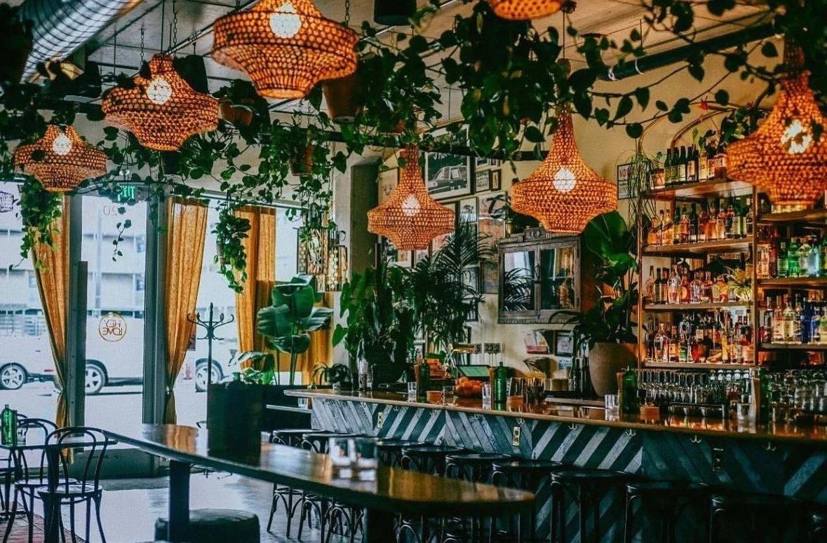 Inside a cozy restaurant or bar with hanging wicker lamps, green plants, a bar counter with bottles, and large windows with yellow curtains.
