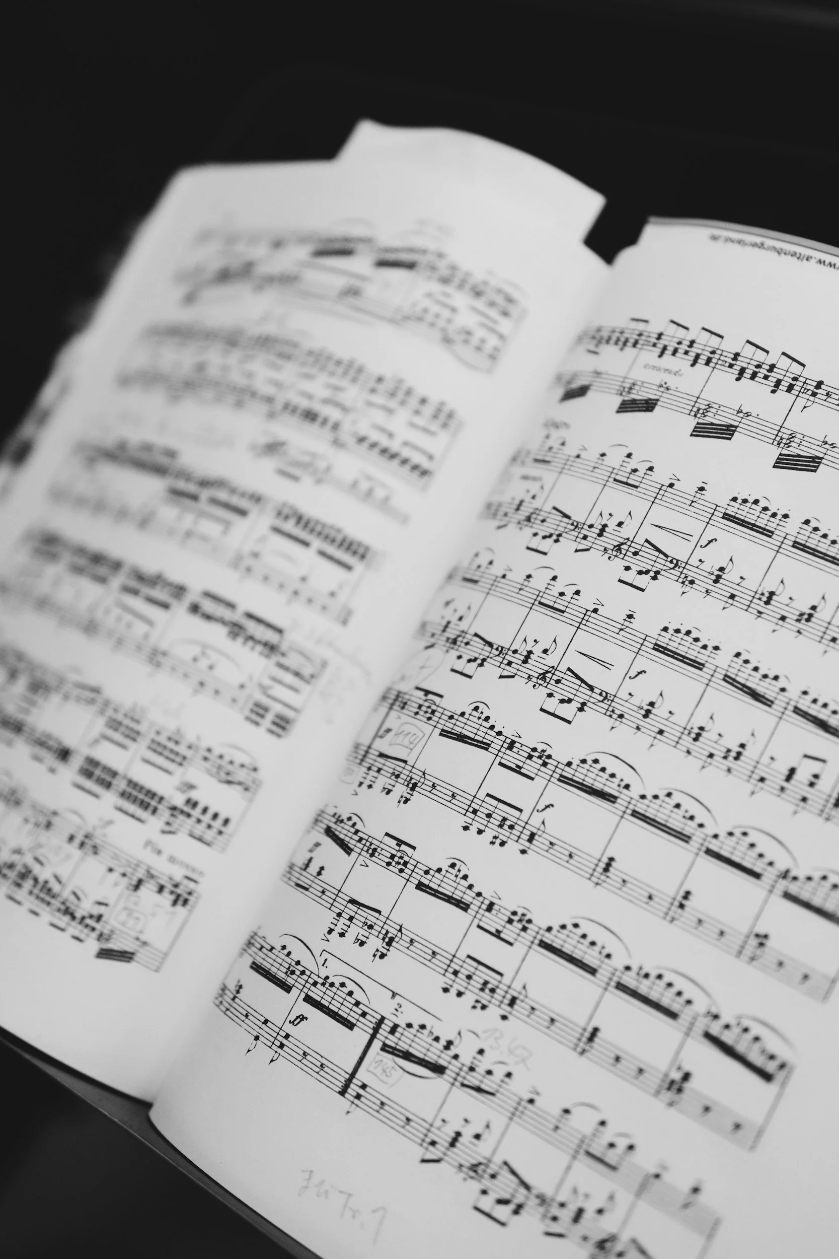 An image of sheet music being used in a flute lesson available to all levels of musicianship, online and in Eastside Washington.
