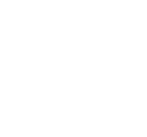 Rieinhard Agency Logo