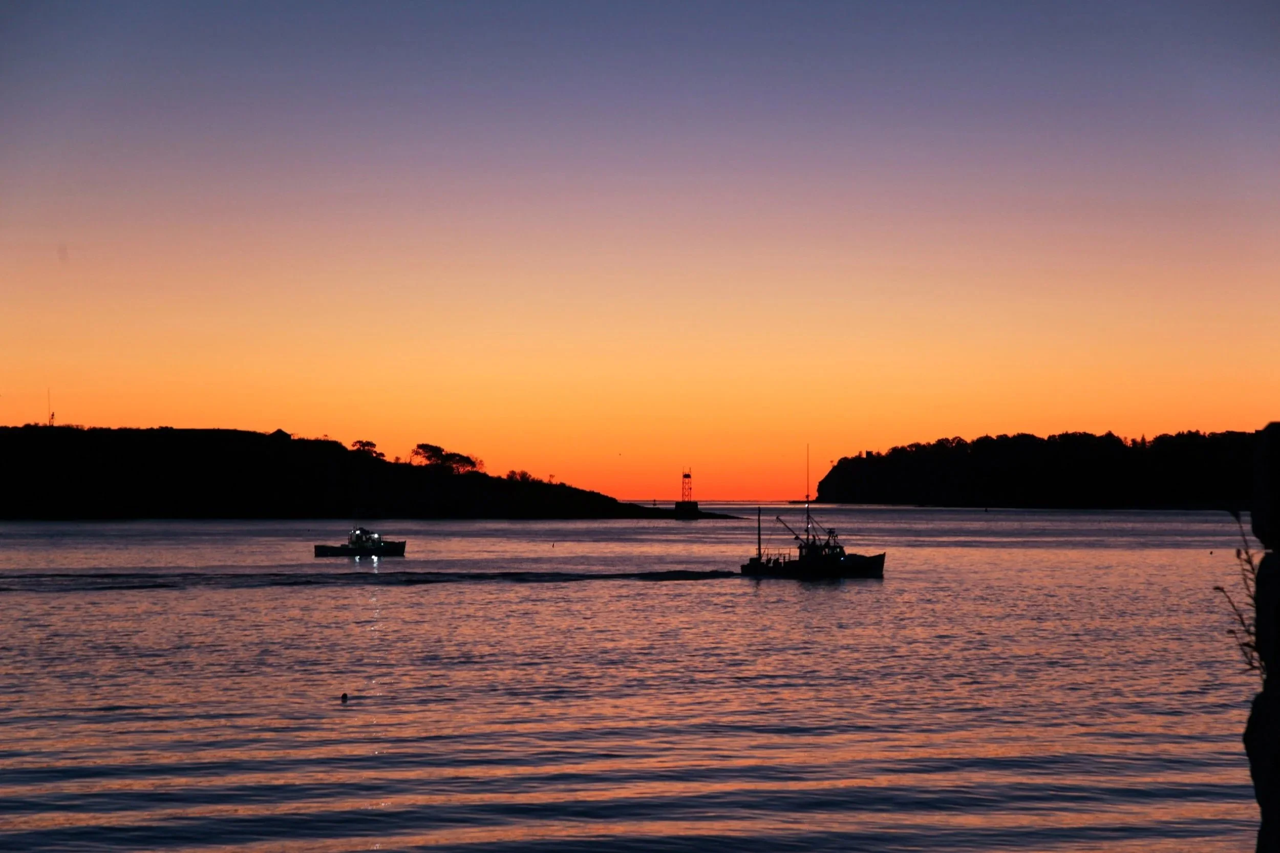 IMG_0620-Edit_Large.jpg