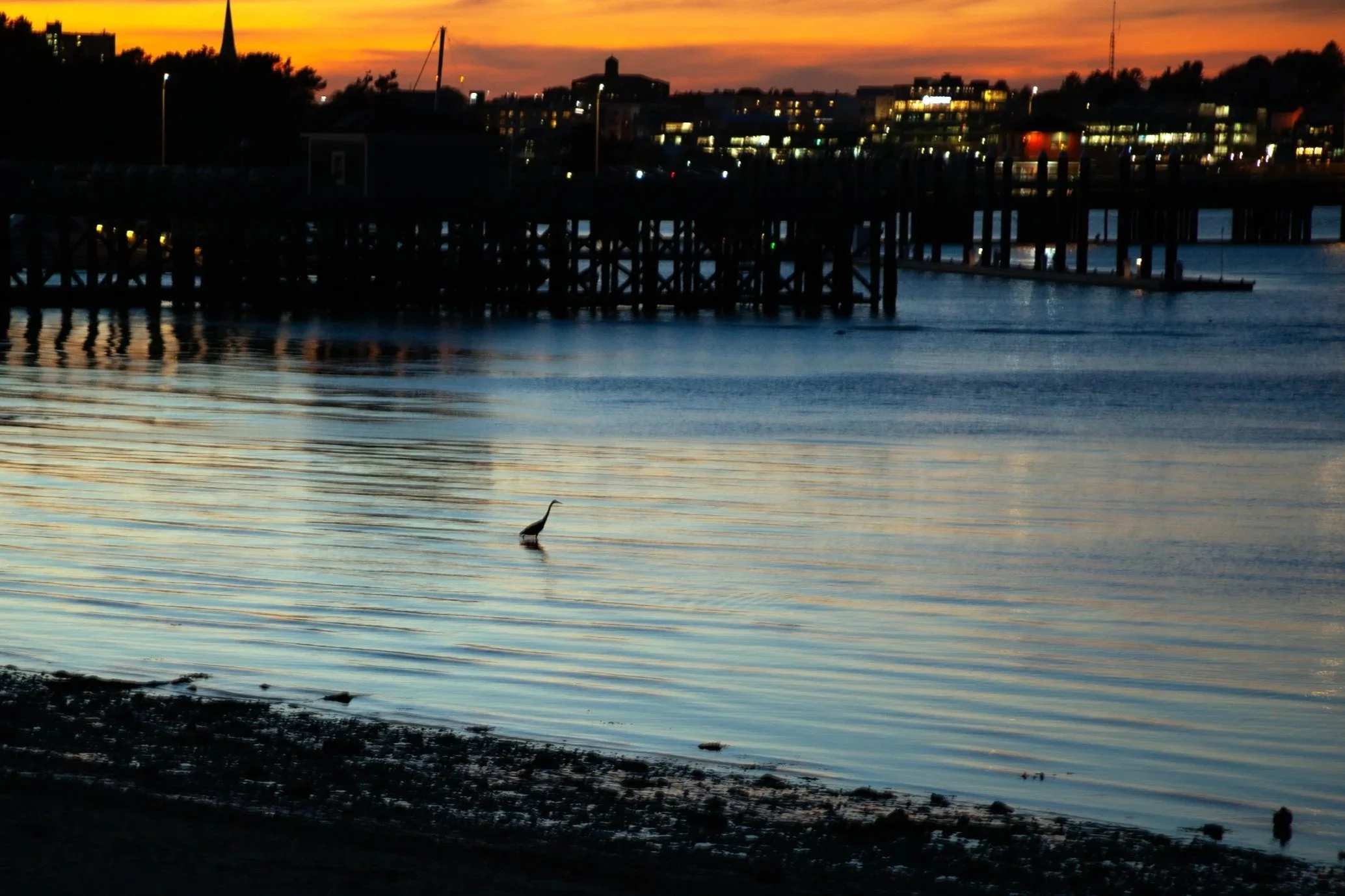 IMG_0652-Edit_Large.jpg