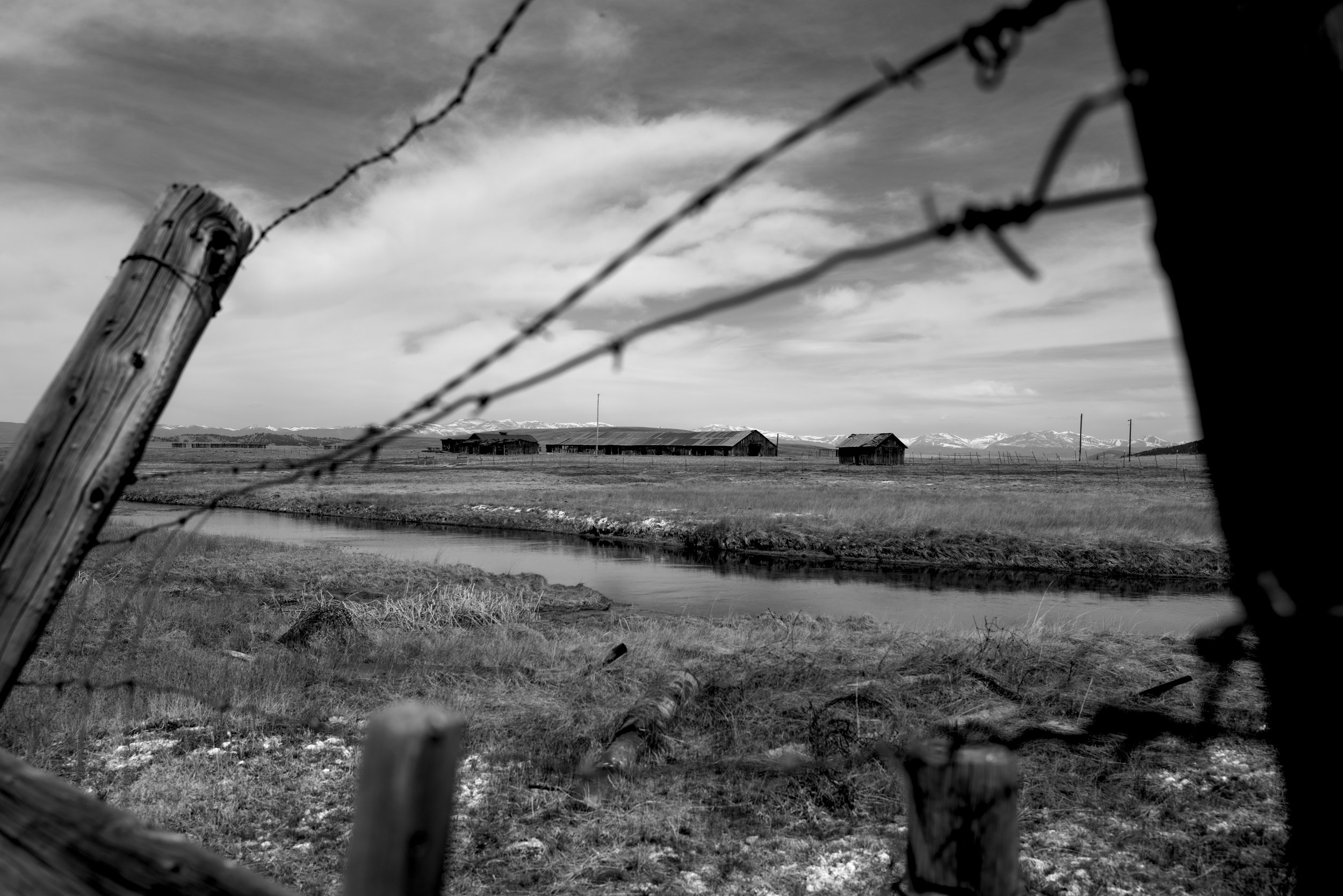 L1000362-Edit_Large.jpg