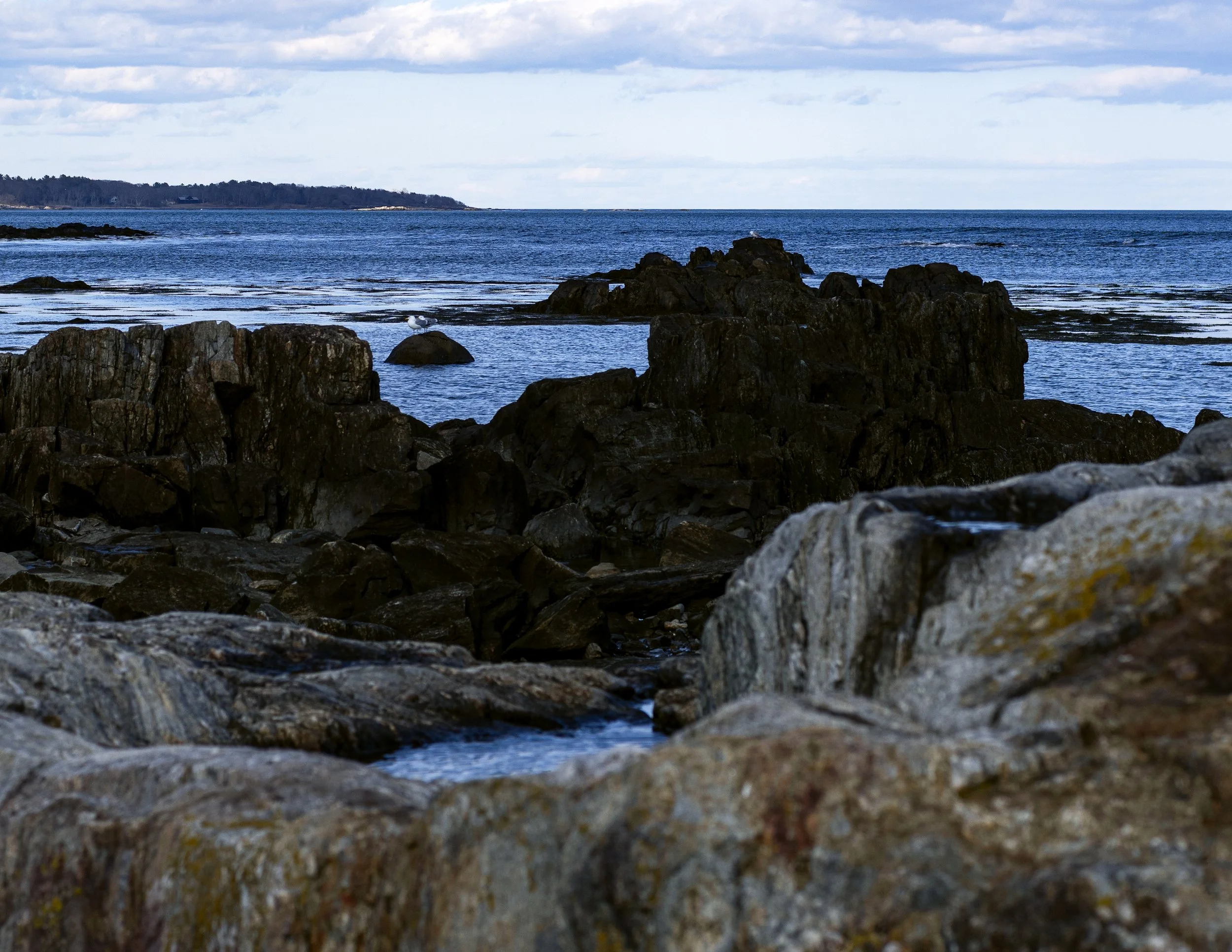 _DSC8325-Edit-2_Large.jpg