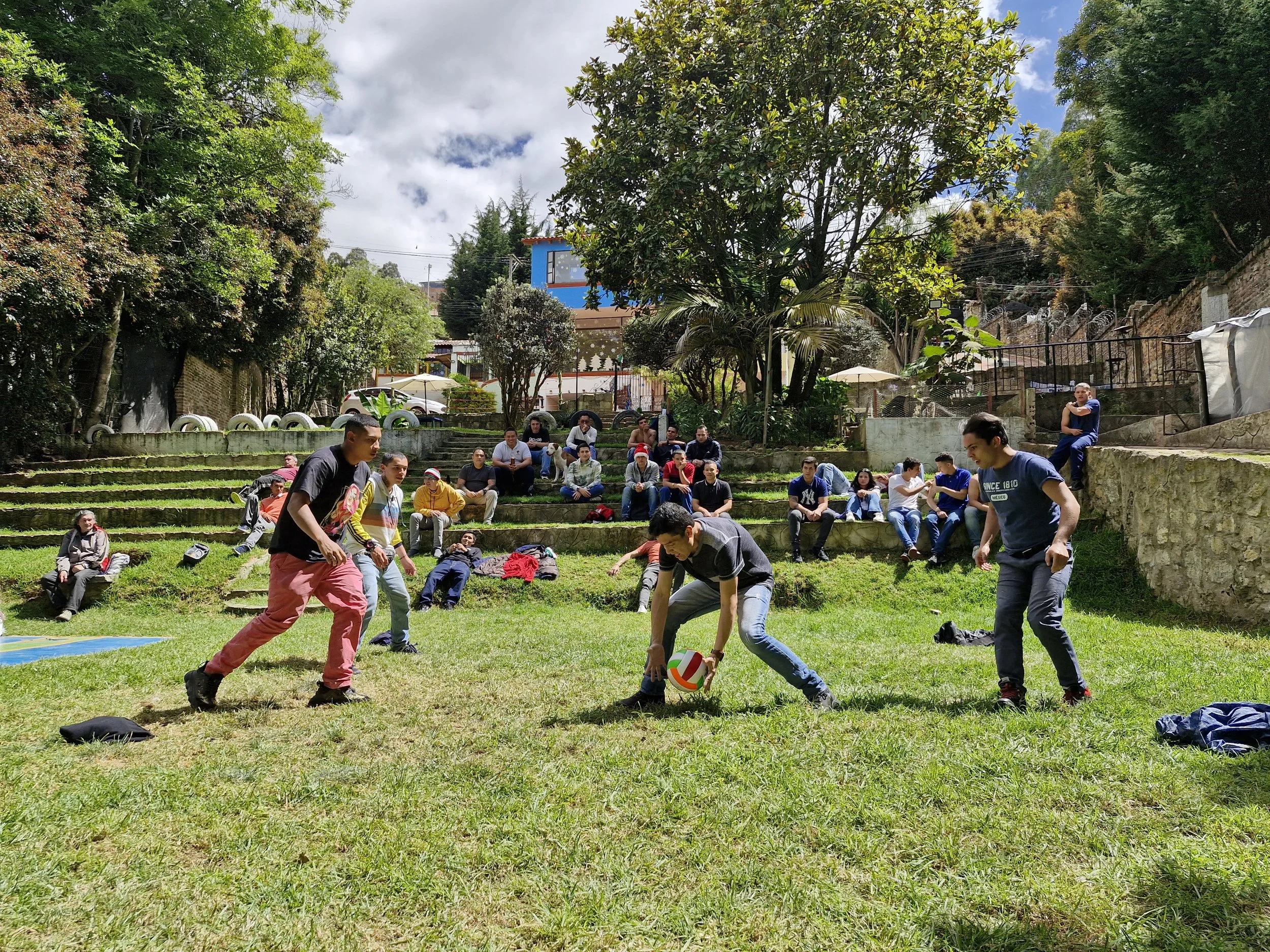 Grupo de personas jugando voleibol en un parque con árboles y edificaciones al fondo.