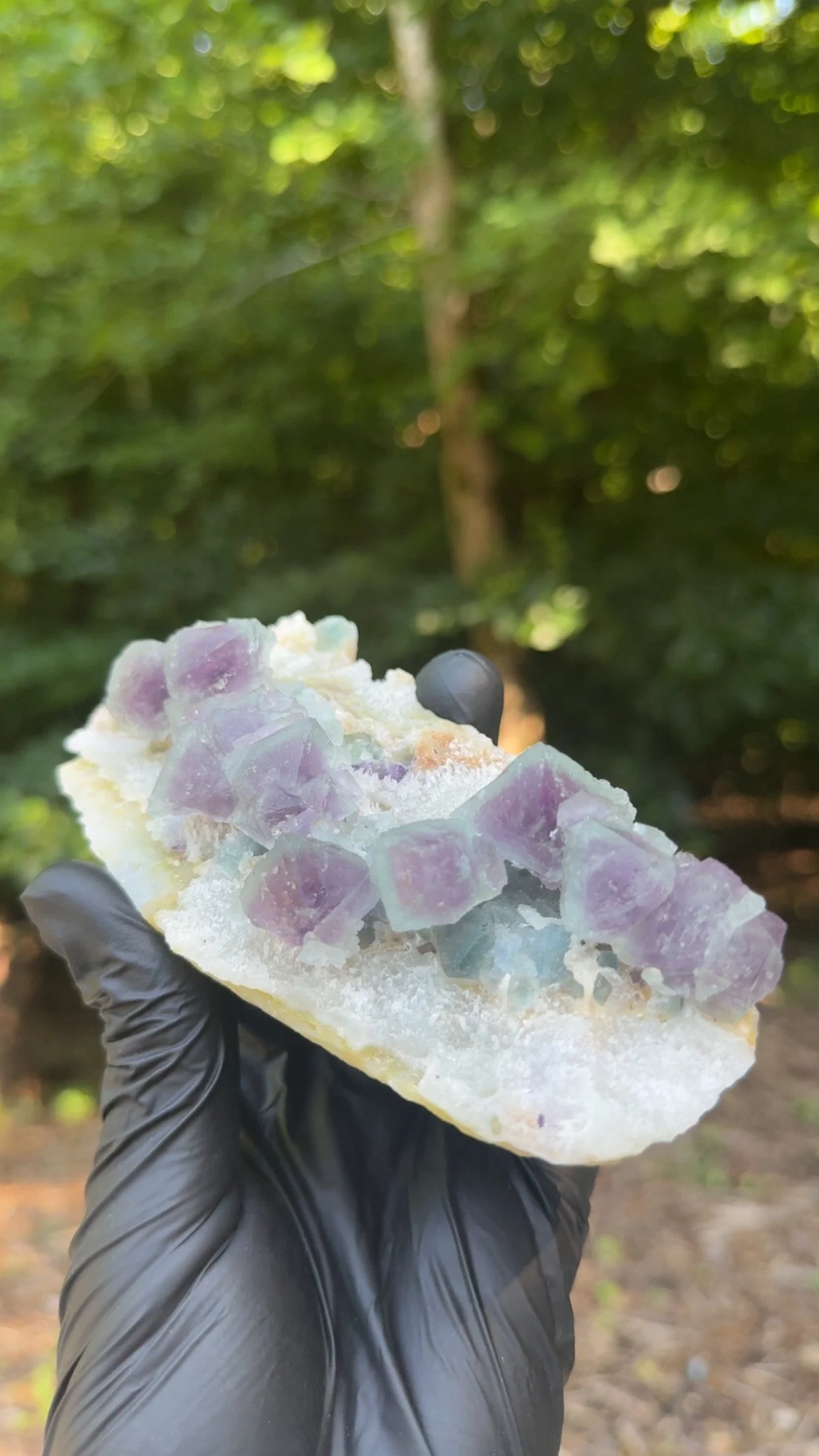 Multicolored Octahedral Fluorite specimen