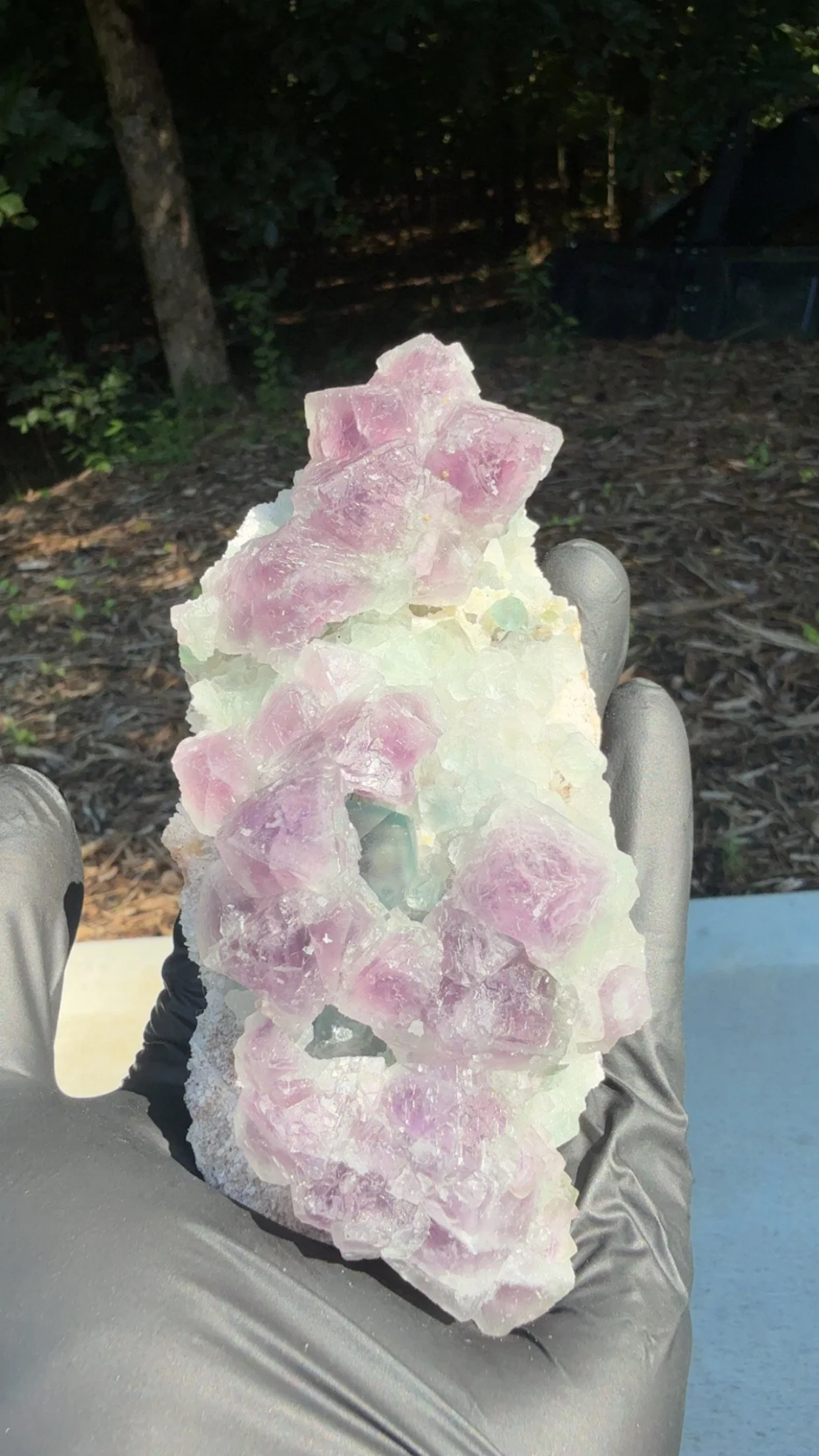 Multi-colored Octahedral Fluorite