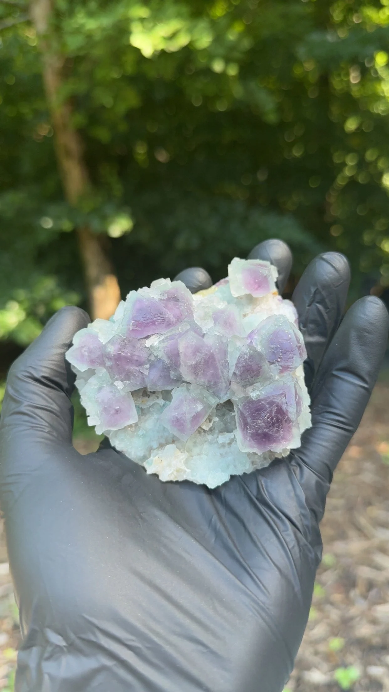Multi-colored octahedral Fluorite specimen