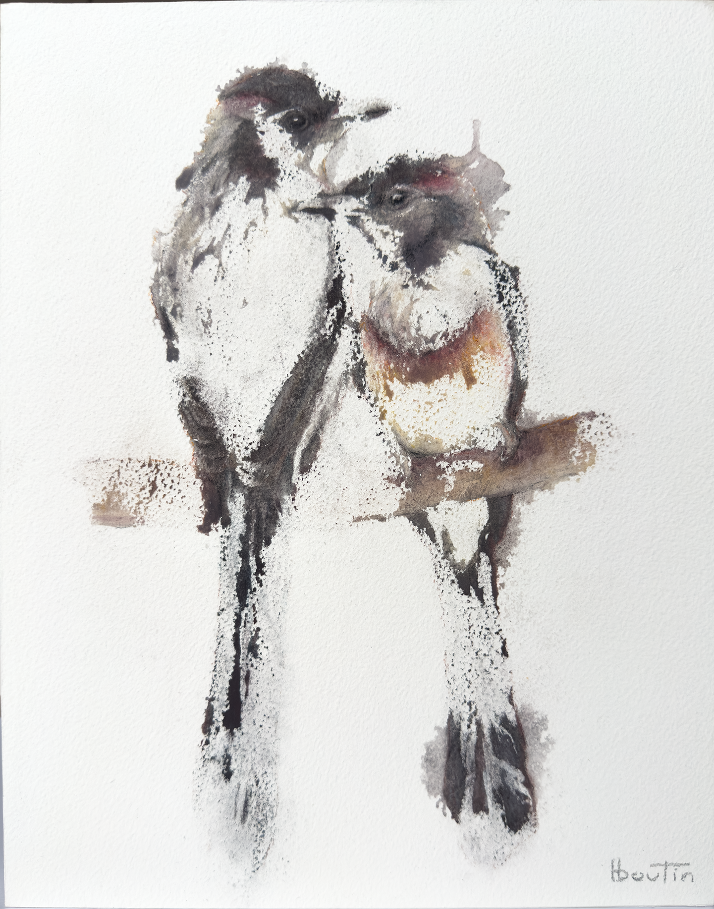 Une rencontre / An Encounter by Nathalie Nicole BOUTIN (boutin), contemporary figurative artwork on Arches paper. Two birds sharing a suspended moment, exploring connection, curiosity, and the beginning of an invisible bond.