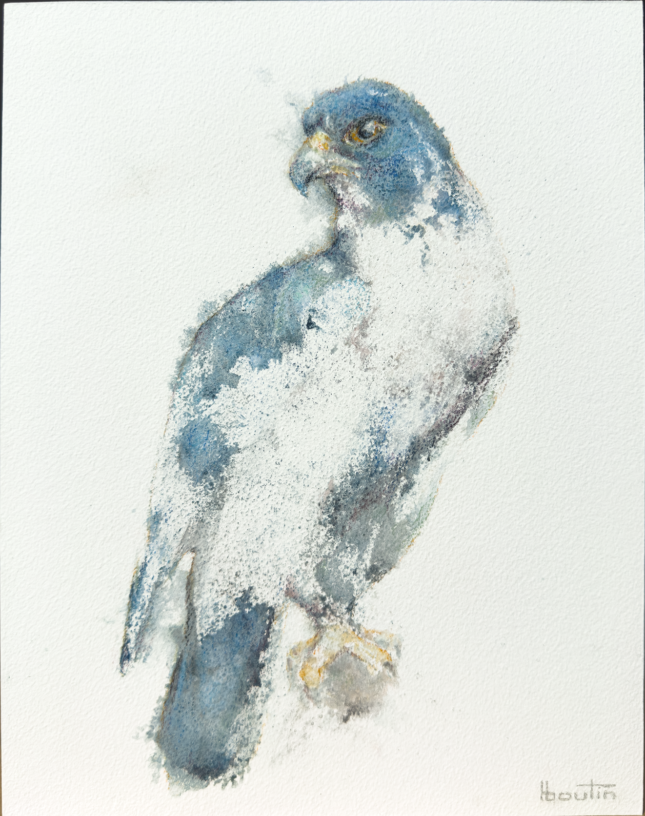 La vigilance / Vigilance by Nathalie Nicole BOUTIN (boutin), contemporary figurative artwork on Arches paper. Bird observing its surroundings, exploring awareness, protection, and silent presence.