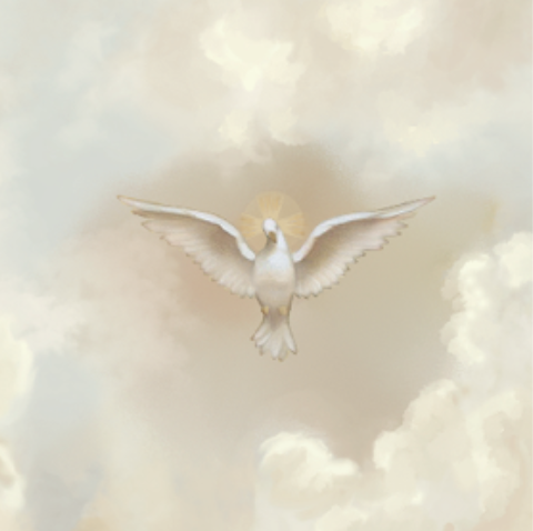 The Holy Spirit Dove