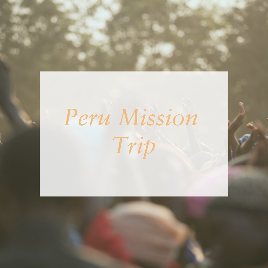 Peru Mission Trip (Copy)