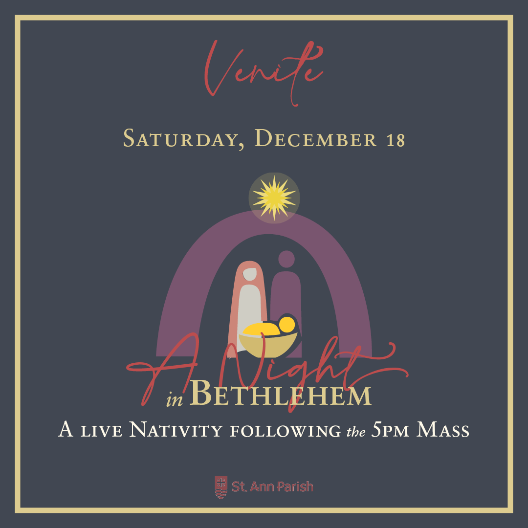 A Night in Bethlehem