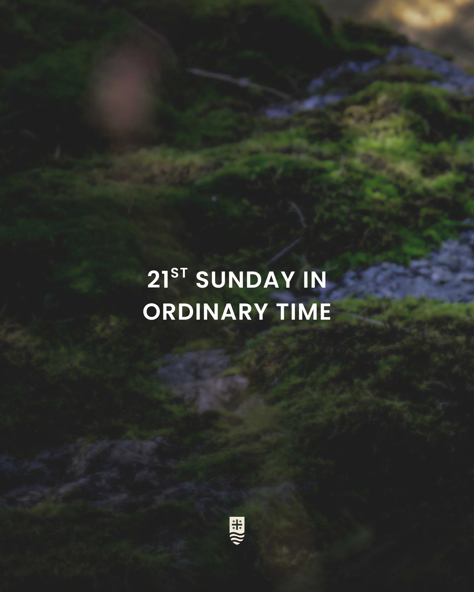 Sundays are the perfect opportunity to dive into God&rsquo;s Word! Use this Sabbath Guide to prepare your heart for Mass, reflect on the message on your way home, and revisit it in prayer throughout the week.

We are a three part homily series this w
