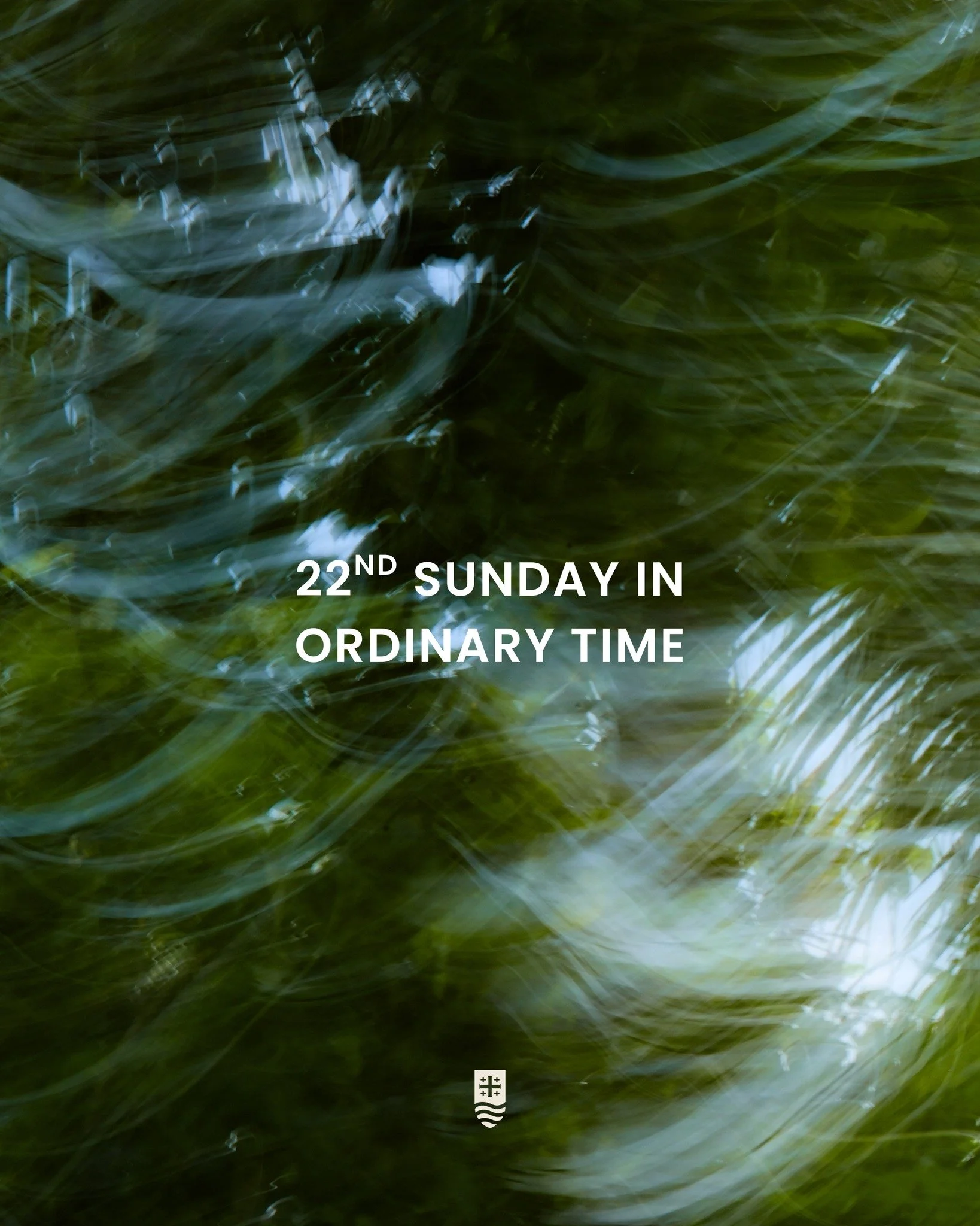 Sundays are the perfect opportunity to dive into God&rsquo;s Word! Use this Sabbath Guide to prepare your heart for Mass, reflect on the message on your way home, and revisit it in prayer throughout the week.

We are a three part homily series this w