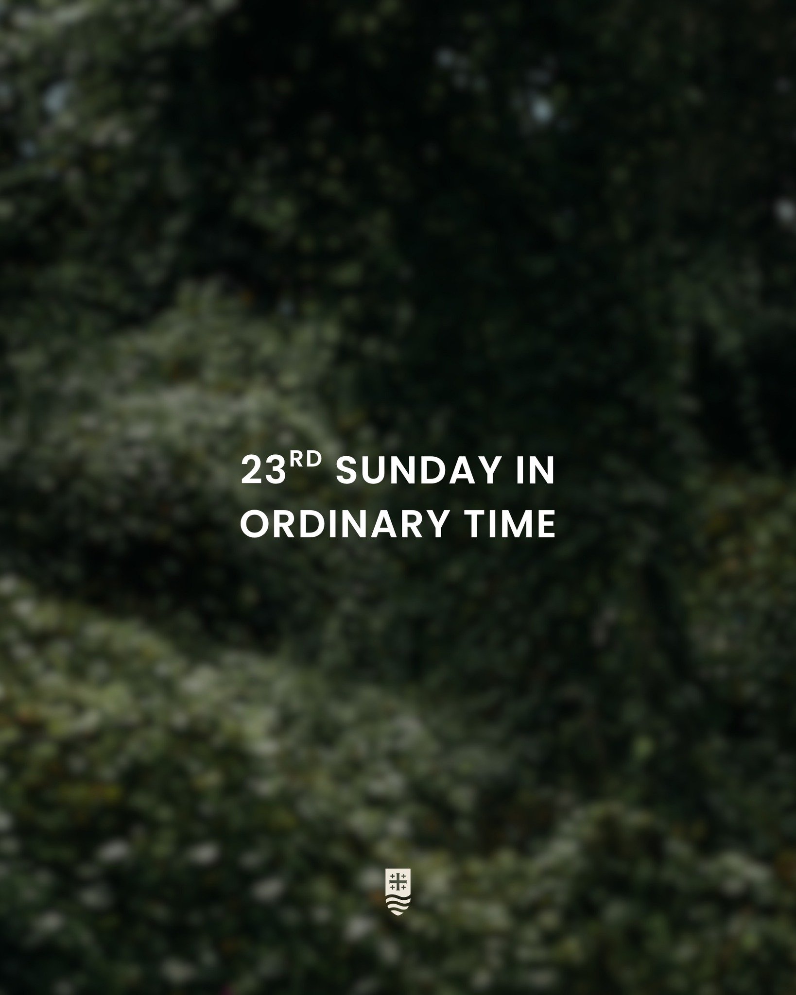 Sundays are the perfect opportunity to dive into God&rsquo;s Word! Use this Sabbath Guide to prepare your heart for Mass, reflect on the message on your way home, and revisit it in prayer throughout the week.

We are a three part homily series this w
