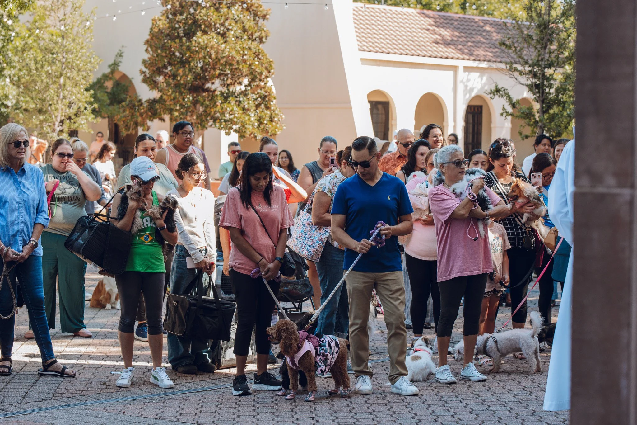 PET BLESSING // 🐶🐰🐢 Since the feast day of St. Francis lands on a Sunday this year, we have moved the Pet Blessing to Monday, October 5. On this feast day, many people bring their pets to the Church to be blessed. This tradition began in honor of 