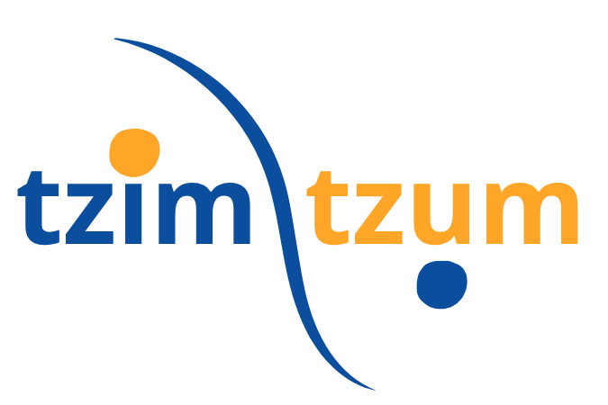 TzimTzum