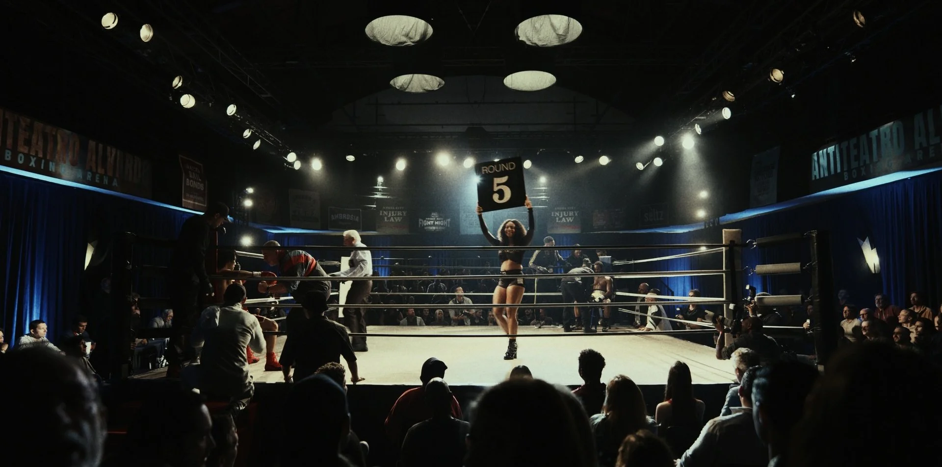 boxing_d1_ocn_st_1.2.1.T.jpg