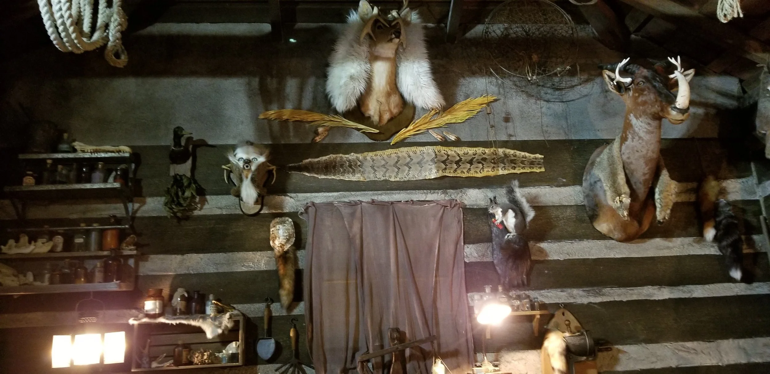 20180228_153841.jpg