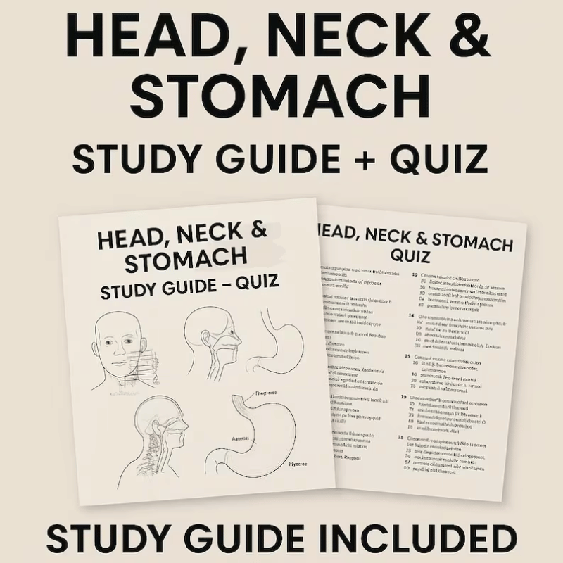 RD Exam Study Guide | MNT for Head, Neck & Stomach Disorders 33 Pages of Content